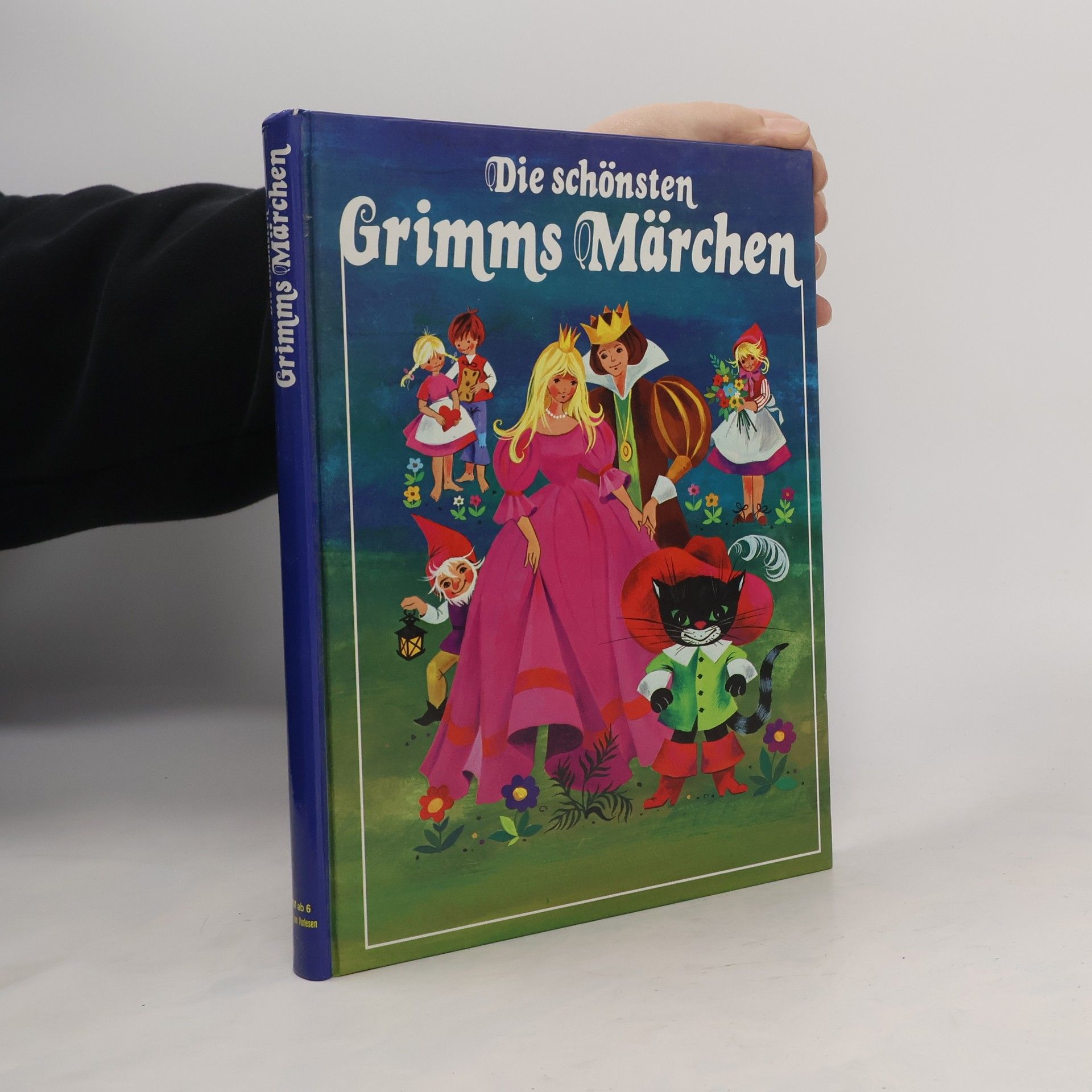 Collectif d'auteurs Die schönsten Grimms Märchen