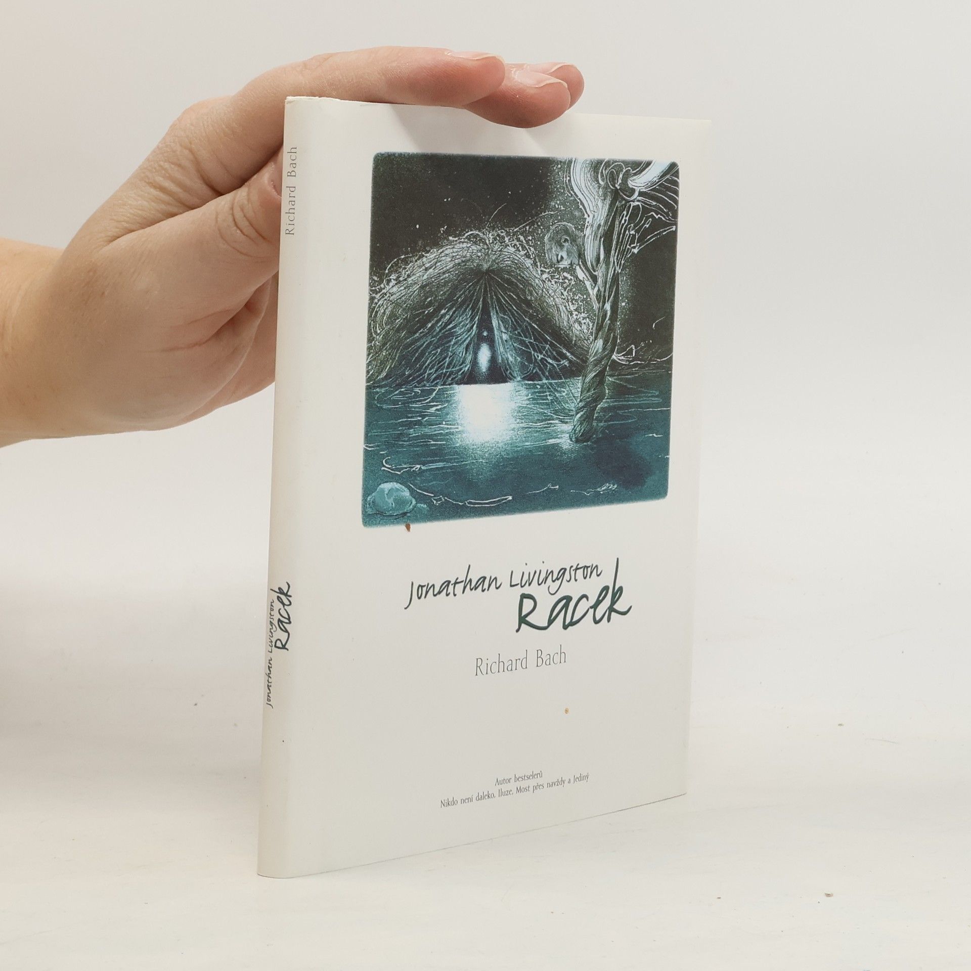 Richard Bach Jonathan Livingston: Racek