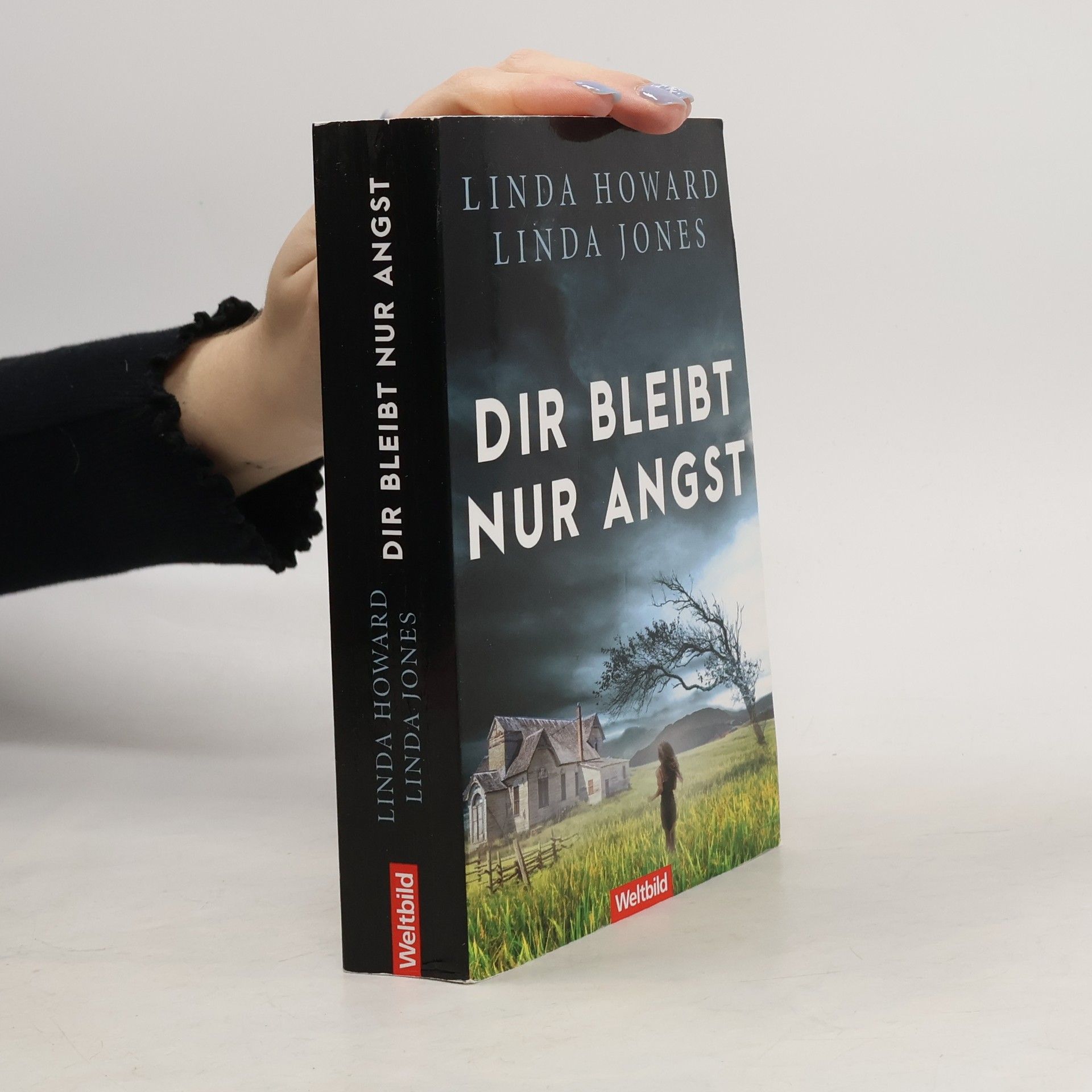 Linda Howard Dir bleibt nur Angst