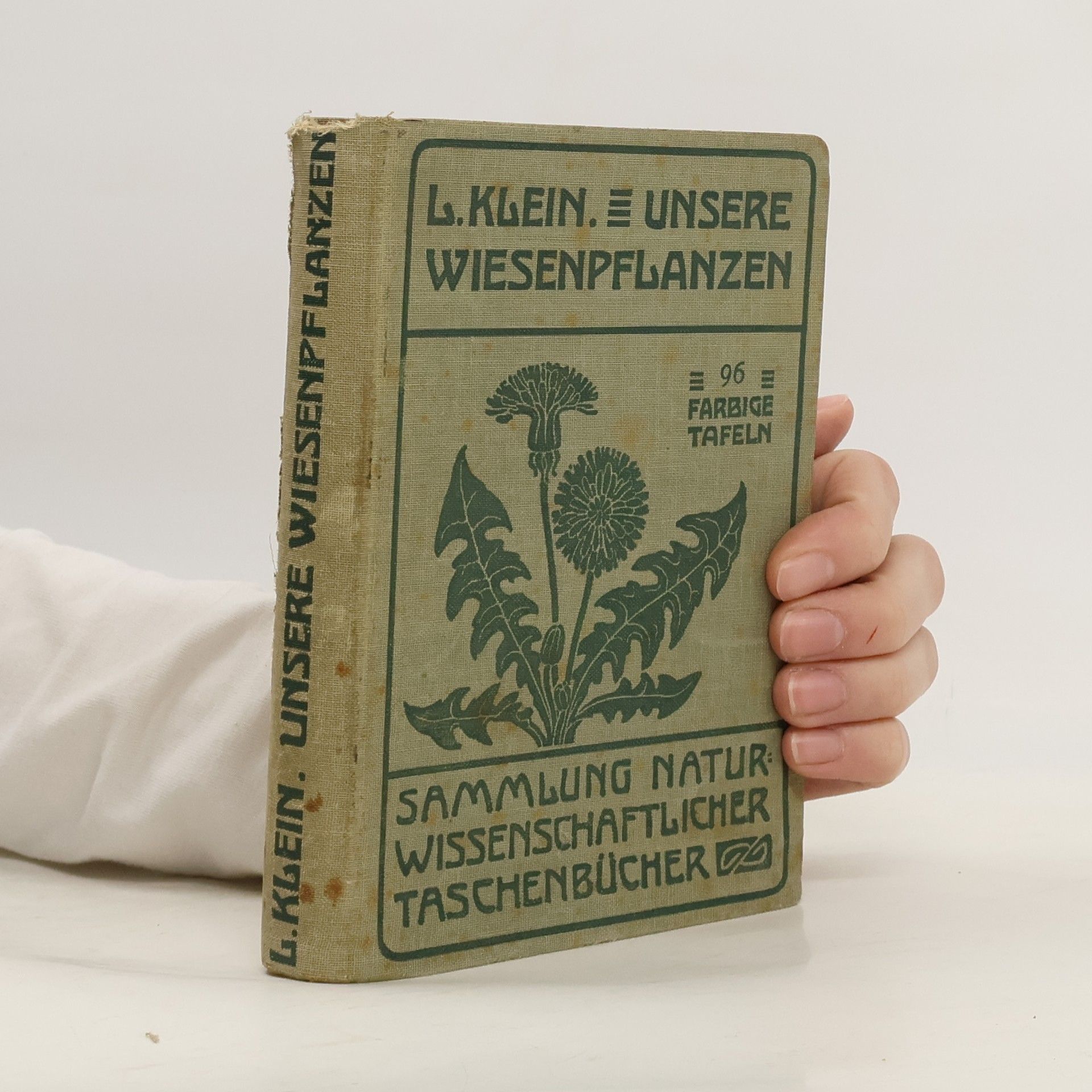 Unsere Wiesenpflanzen