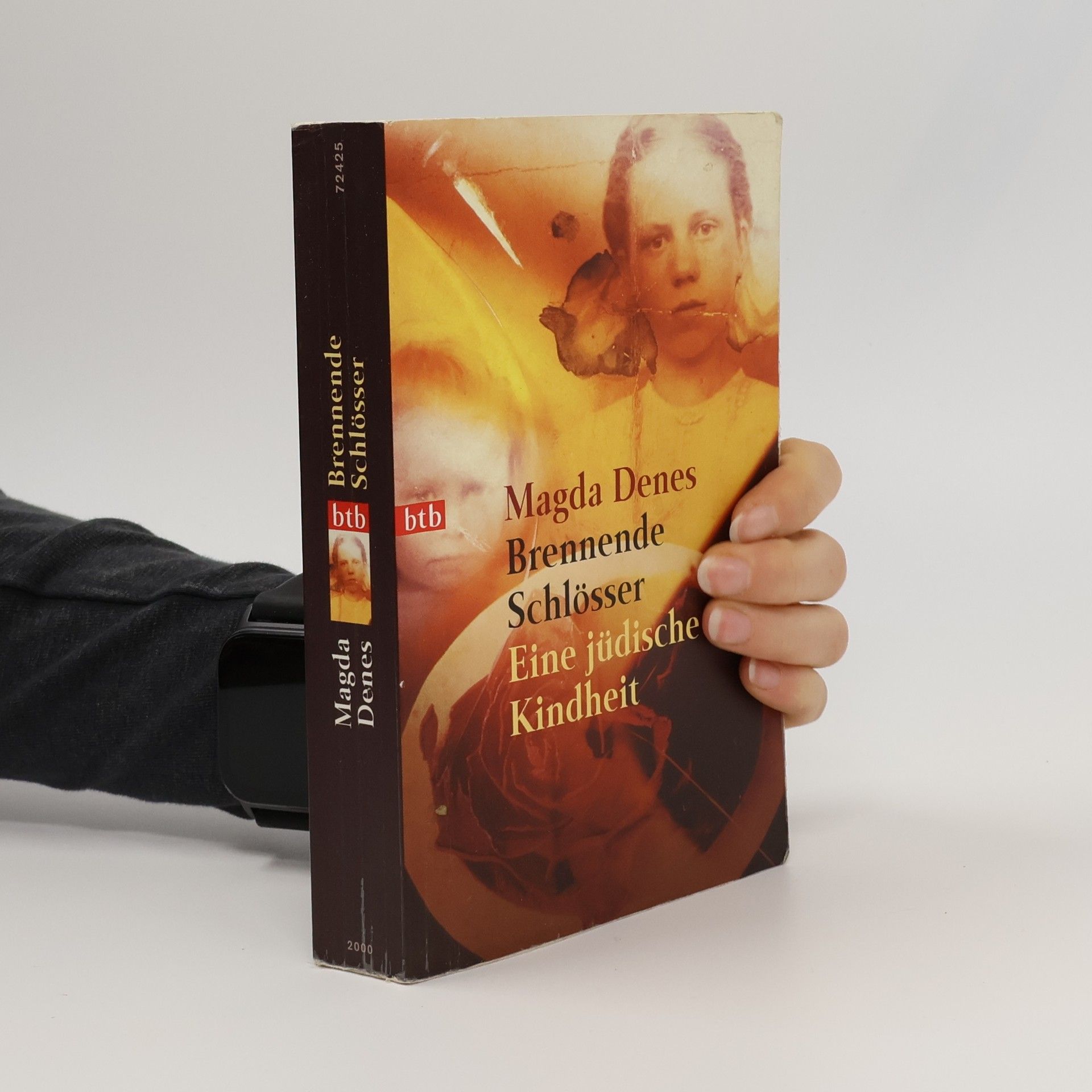 Magda Dénes Brennende Schlösser