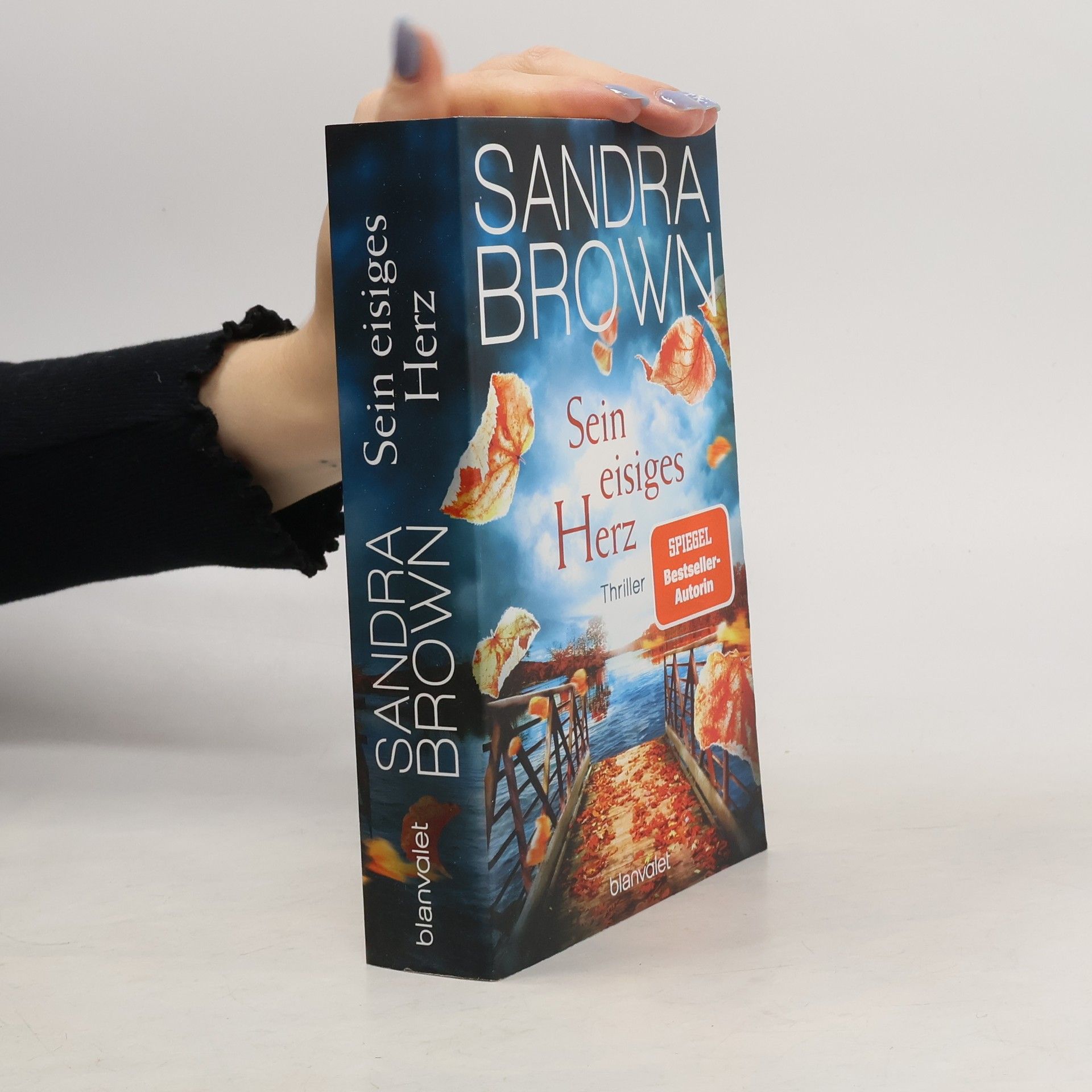 Sandra Brown Sein eisiges Herz