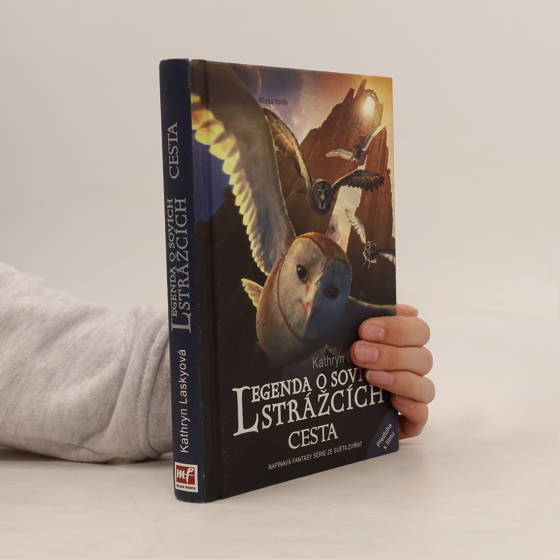 Kathryn Lasky Legenda o sovích strážcích. II., Cesta