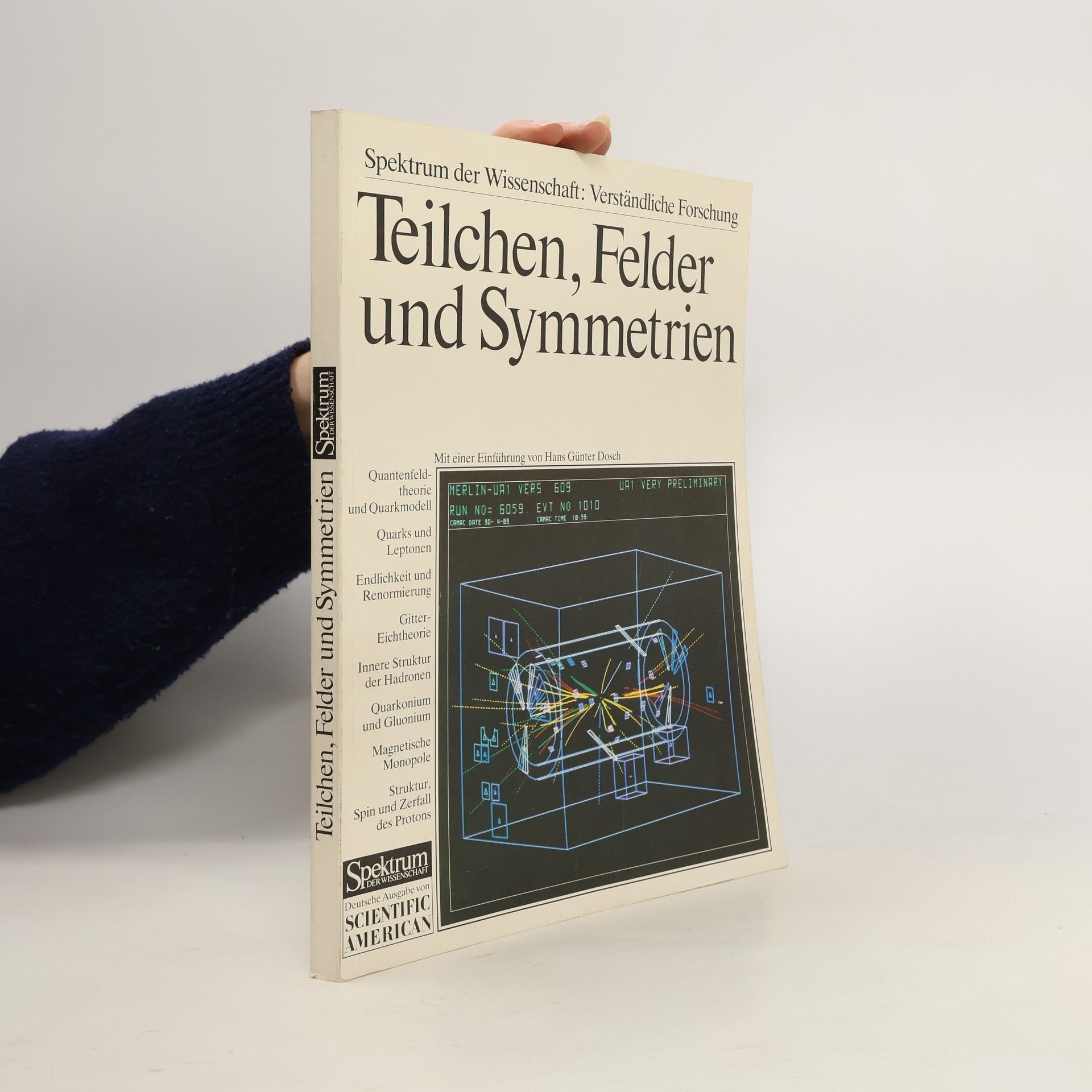 Teilchen, Felder und Symmetrien