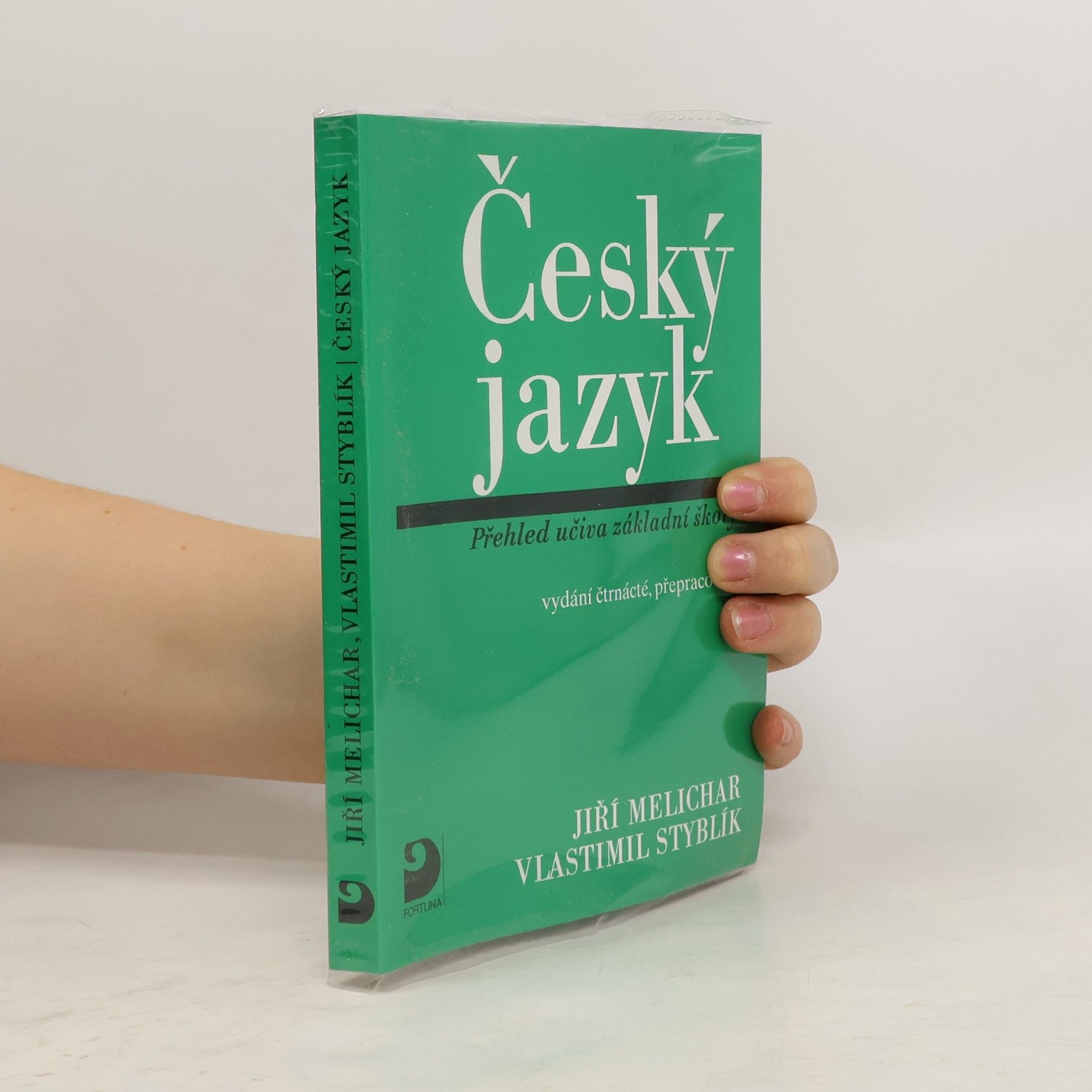 Český jazyk. Přehled učiva základní školy s cvičeními a klíčem