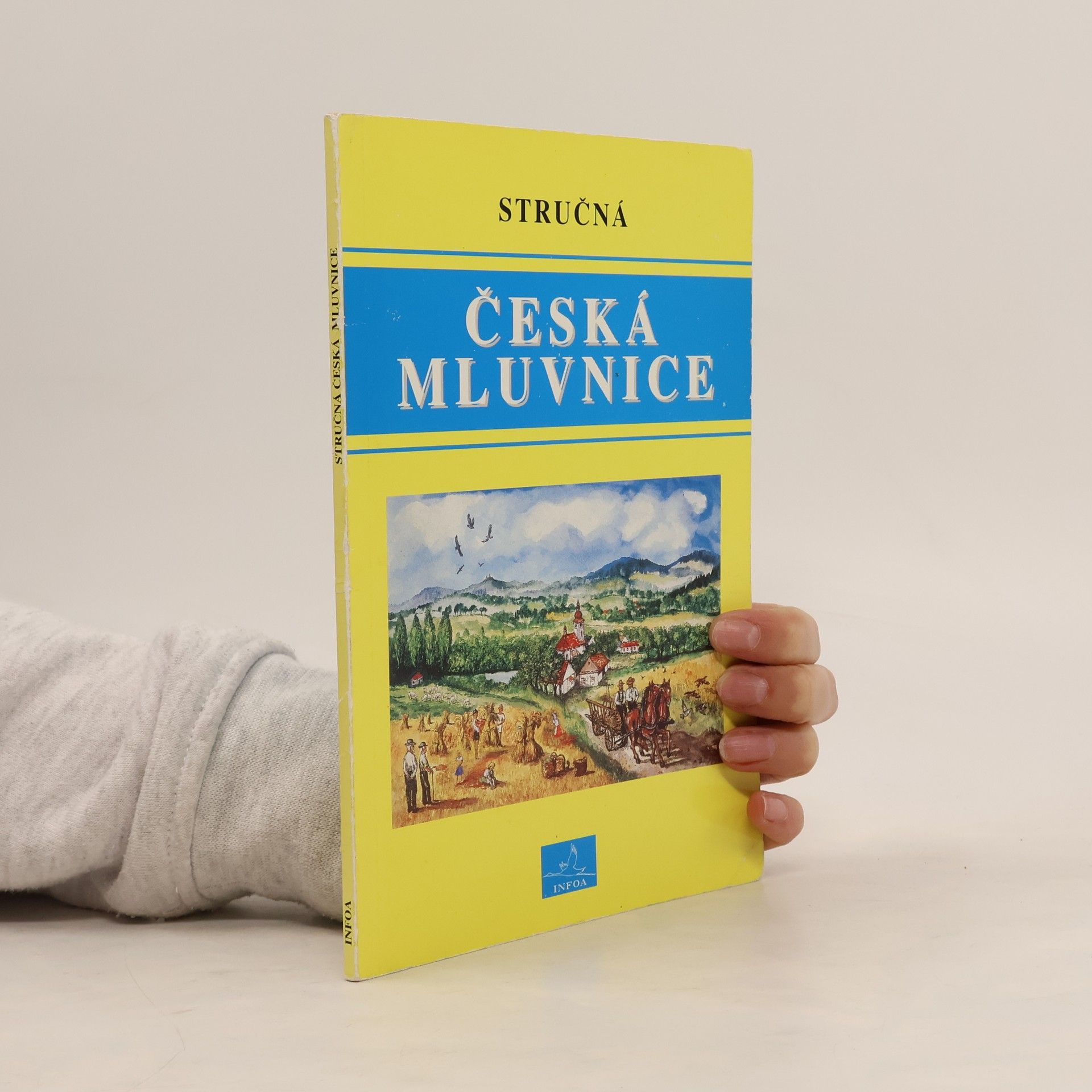 Stručná česká mluvnice