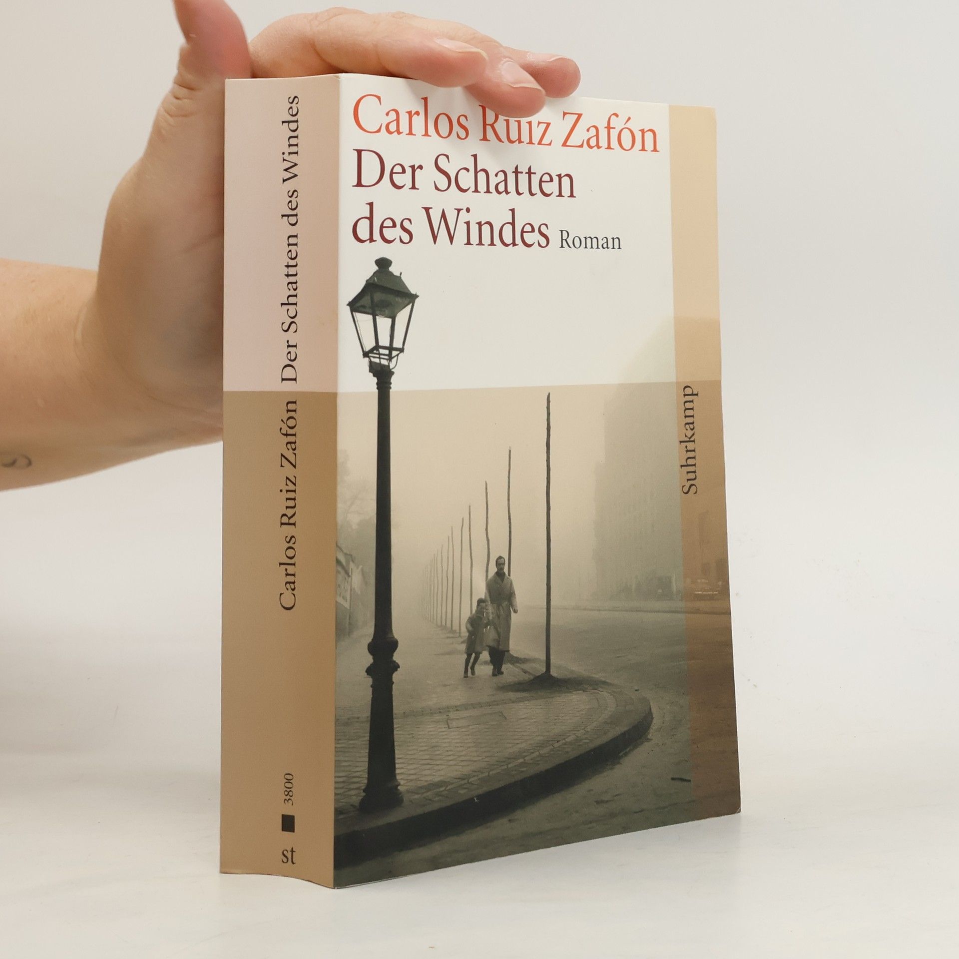 Carlos Ruiz Zafón Der Schatten des Windes