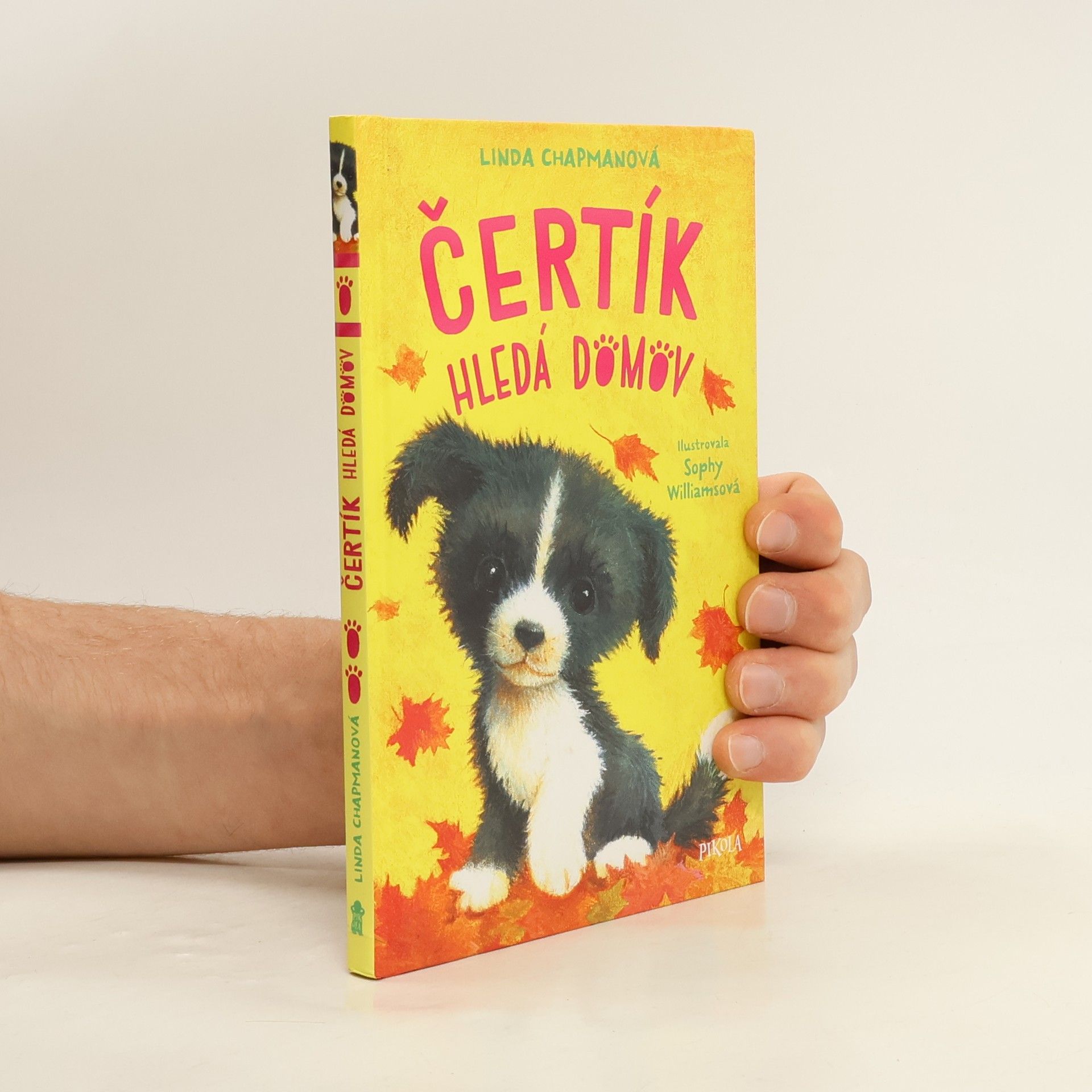 Čertík hledá domov