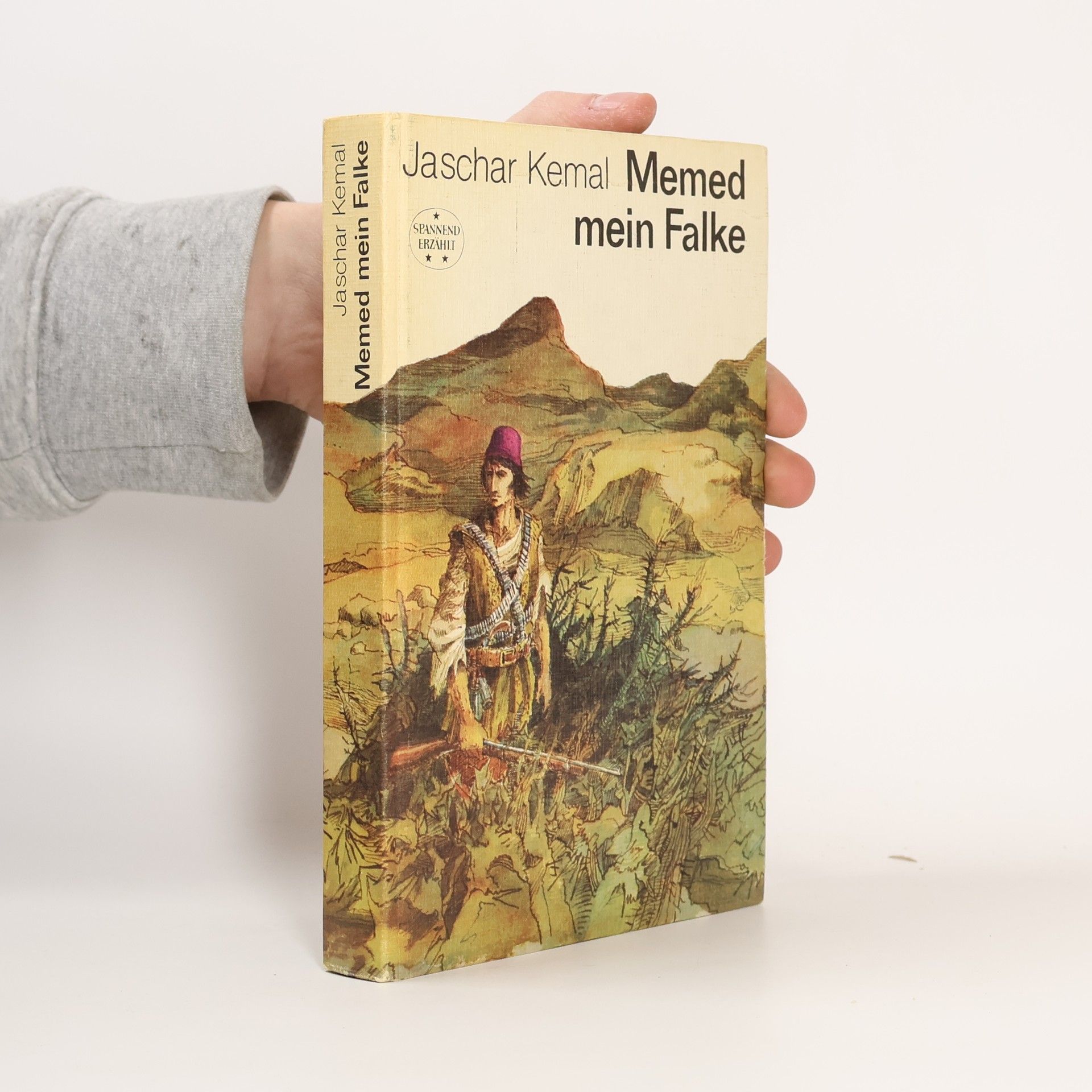 Jaschar Kemal Memed mein Falke