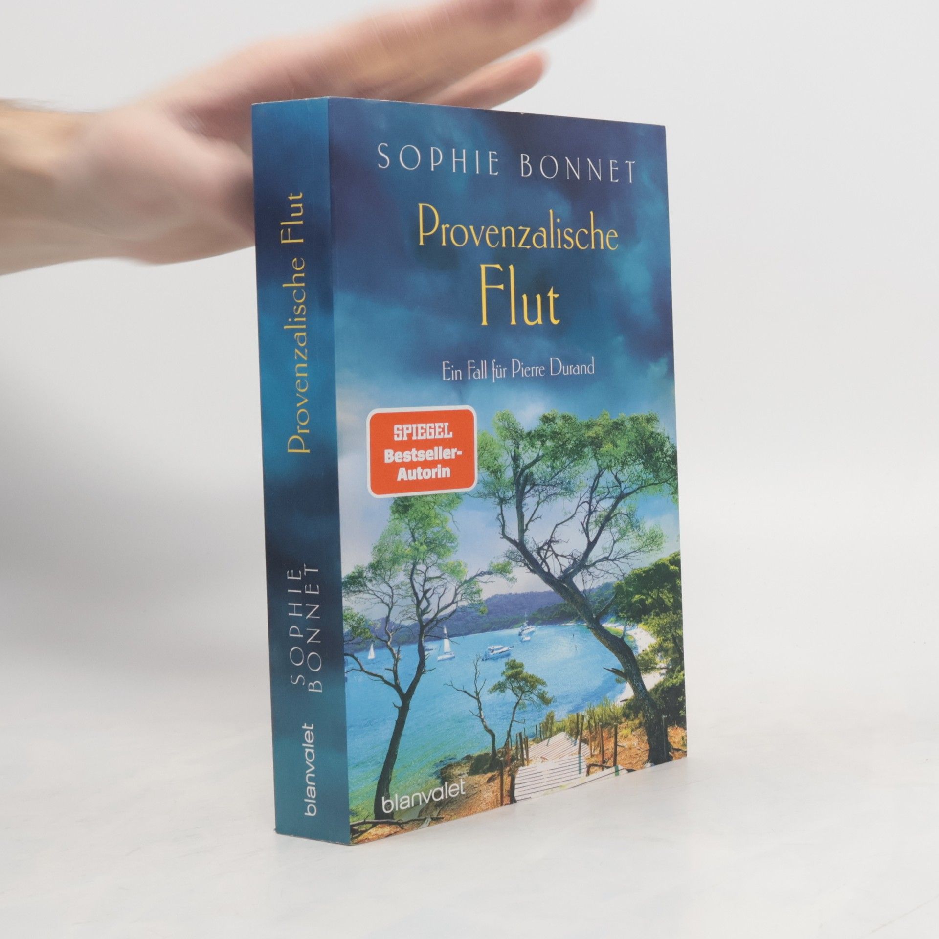 Sophie Bonnet Provenzalische Flut