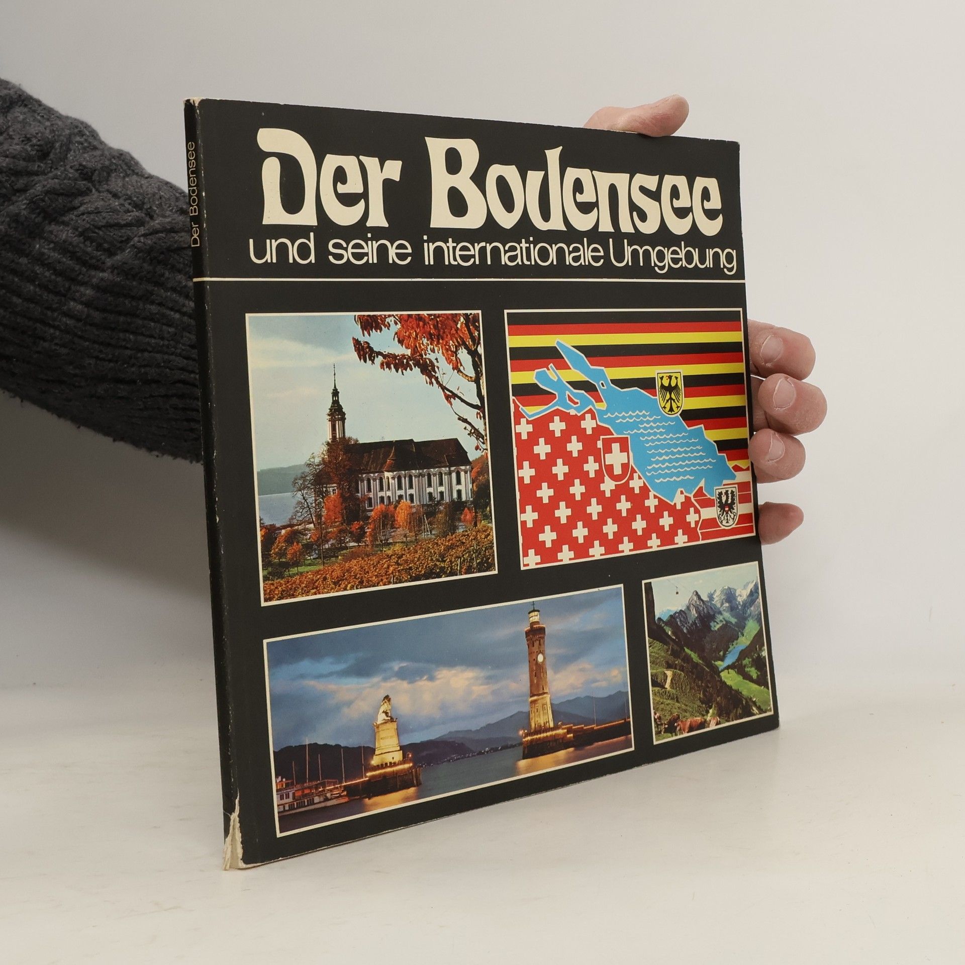 Kolektív autorov Der Bodensee und seine internationale Umgebung