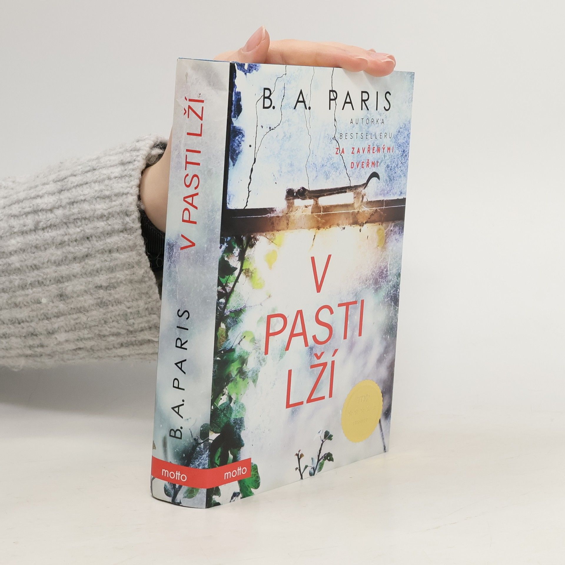 B.A. Paris V pasti lží