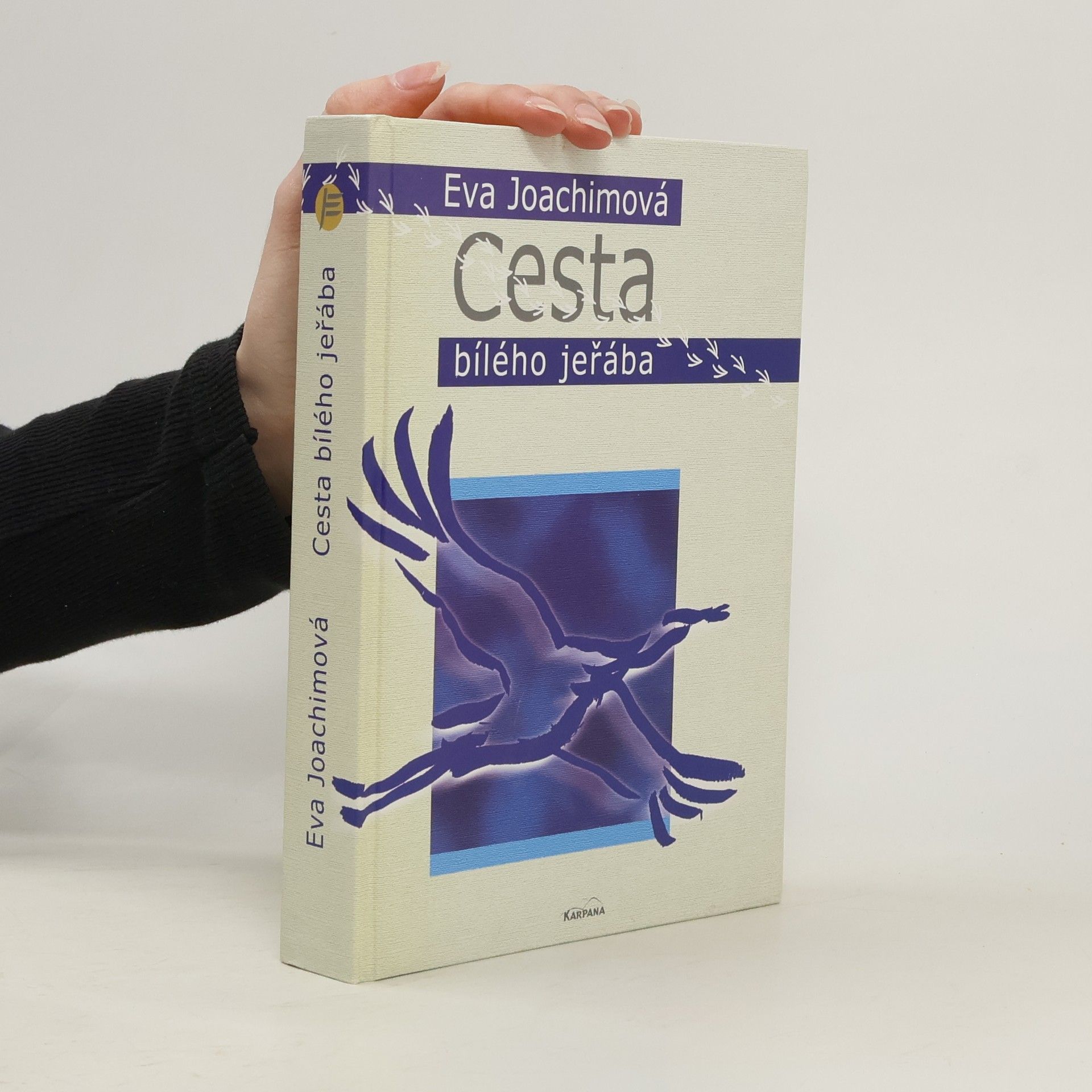 Cesta bílého jeřába