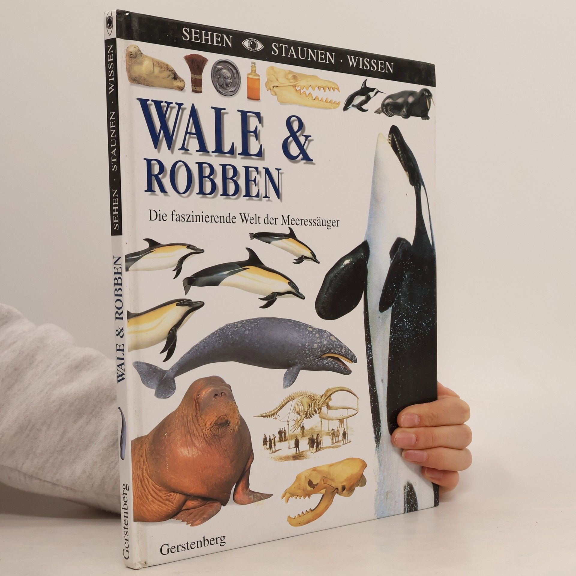 Vassili Papastavrou Wale & Robben