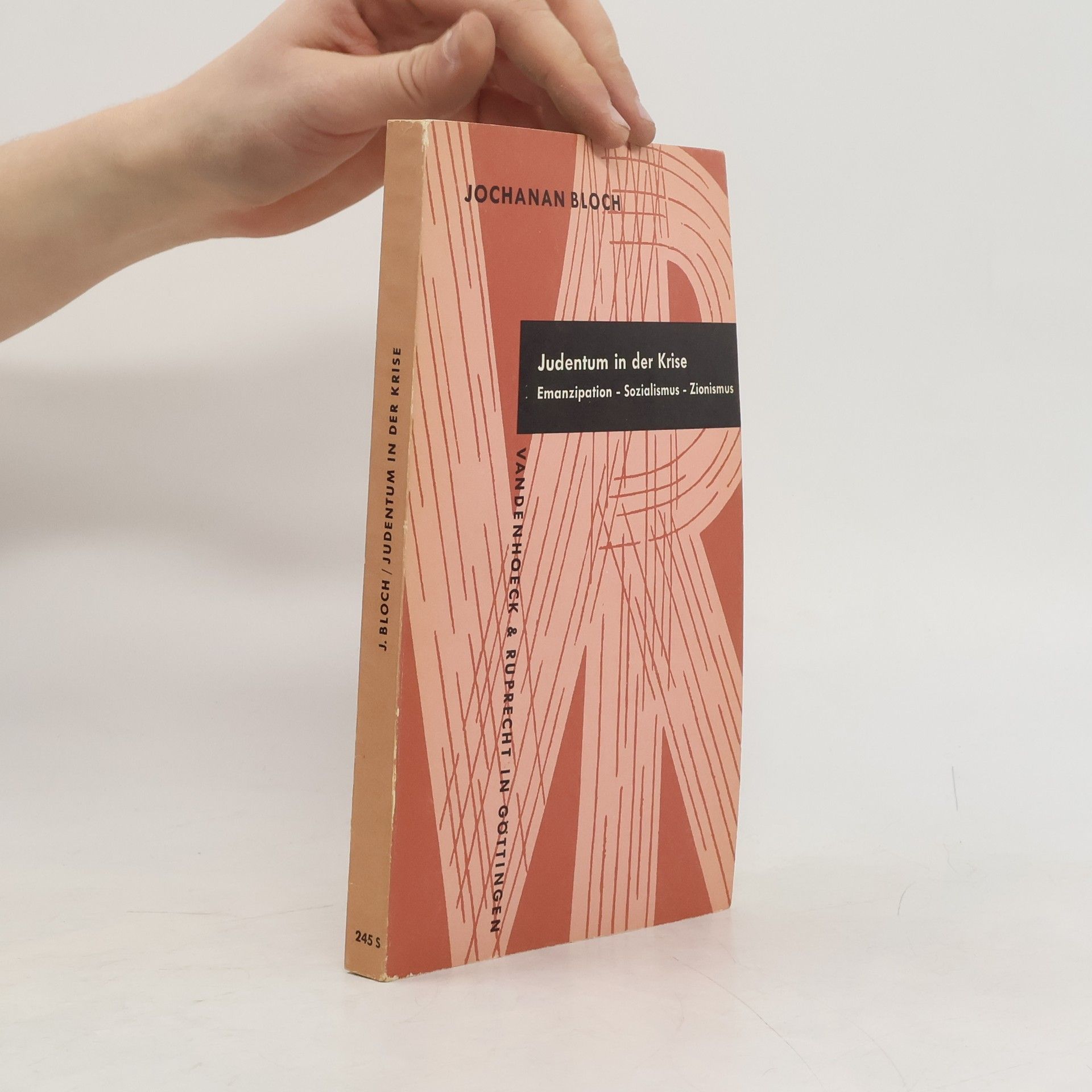 Jochanan Bloch Judentum in der Krise : Emanzipation, Sozialismus und Zionismus