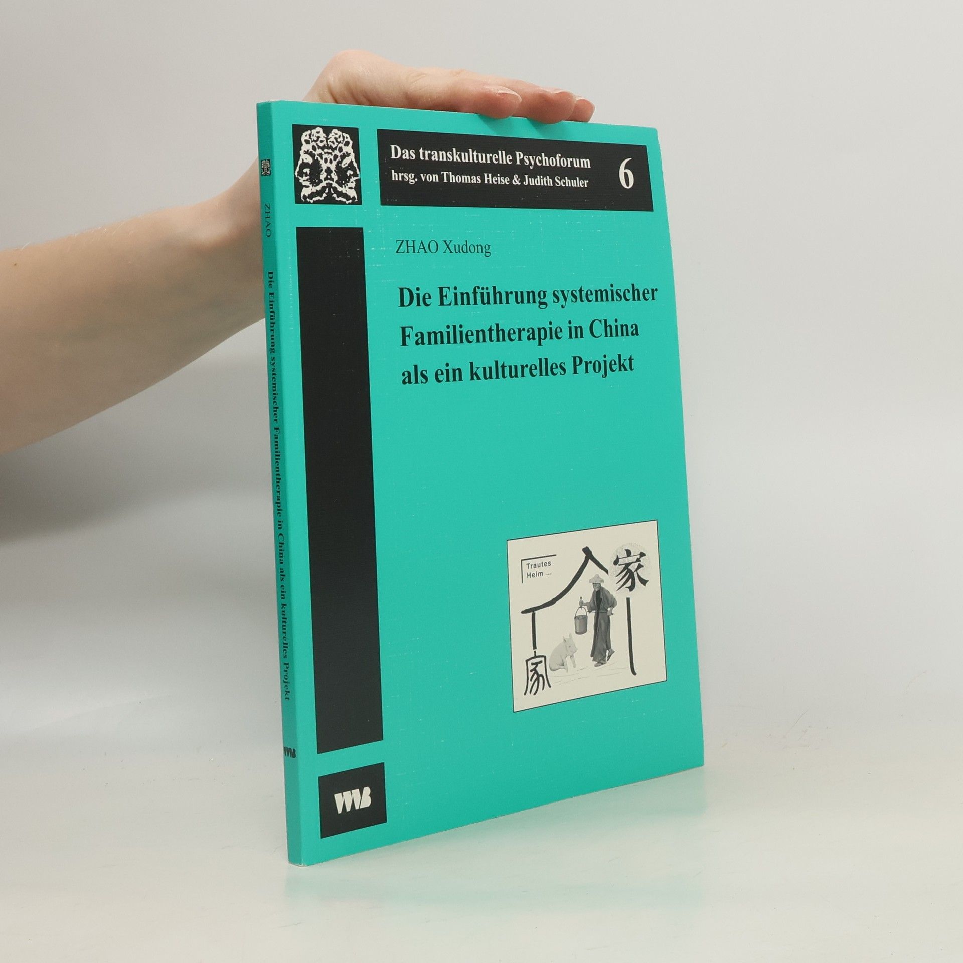 Das transkulturelle Psychoforum - 6: Die Einführung systemischer Familientherapie in China als ein kulturelles Projekt: Diss.