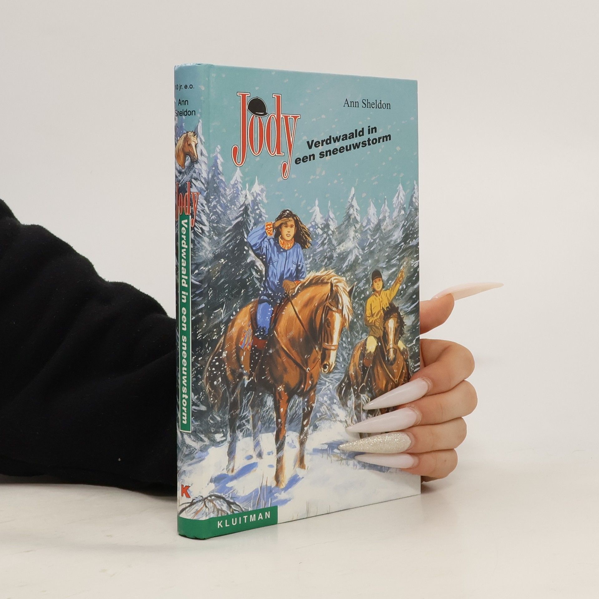 Verdwaald in een sneeuwstorm