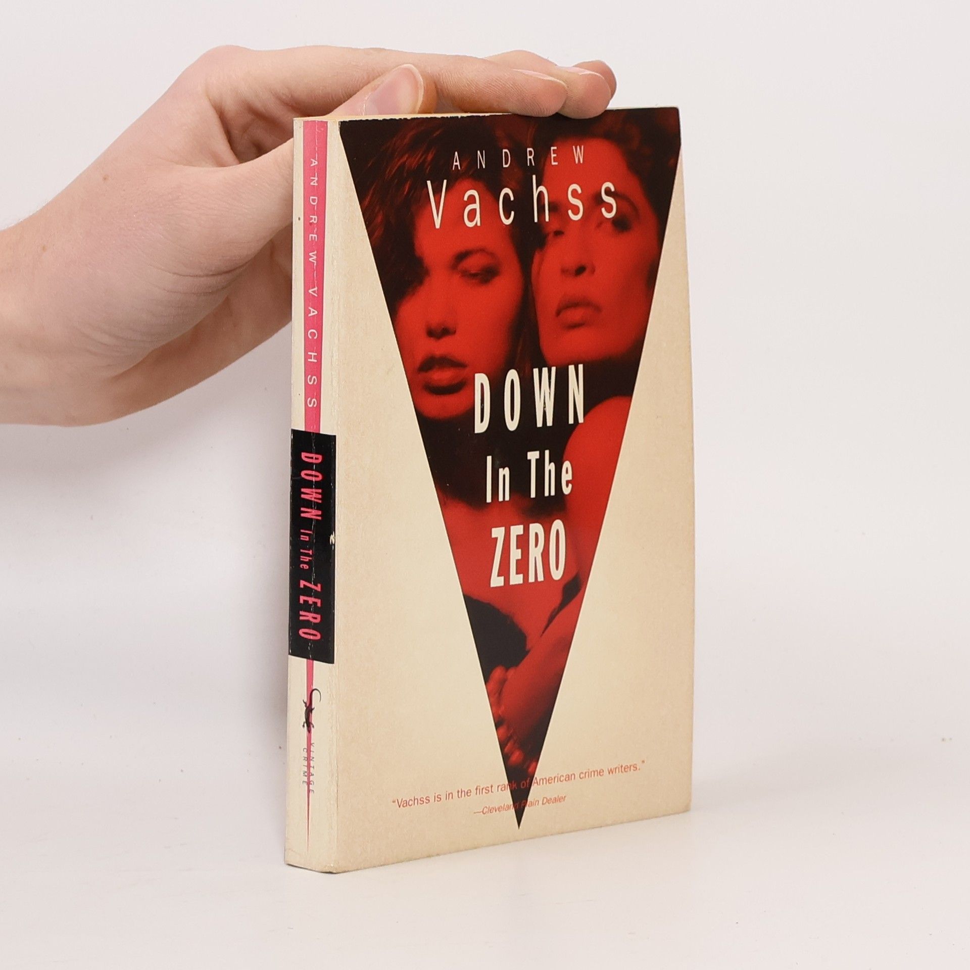 Andrew H. Vachss Down In The Zero