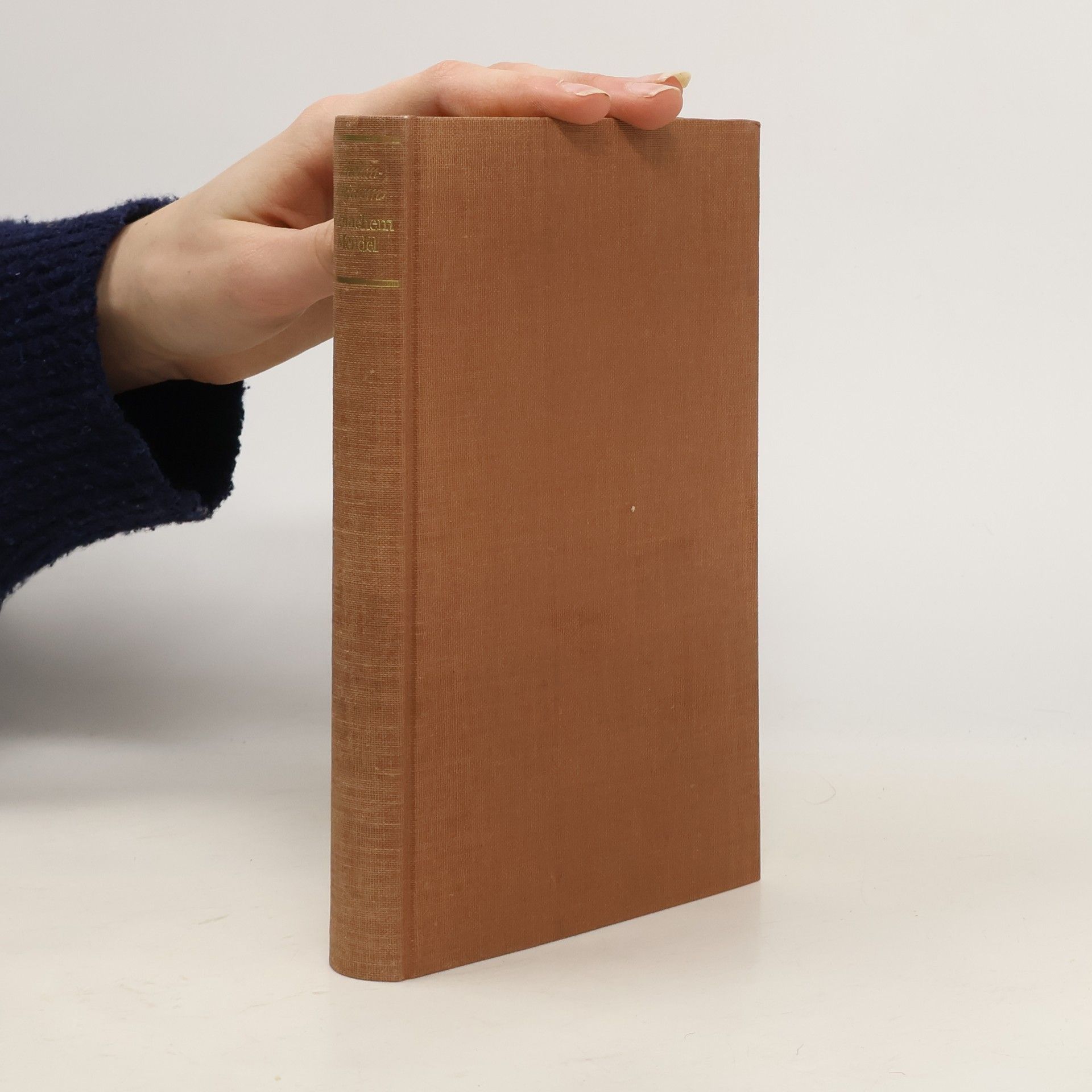 Šolom Alejchem Menachem Mendel, der Spekulant