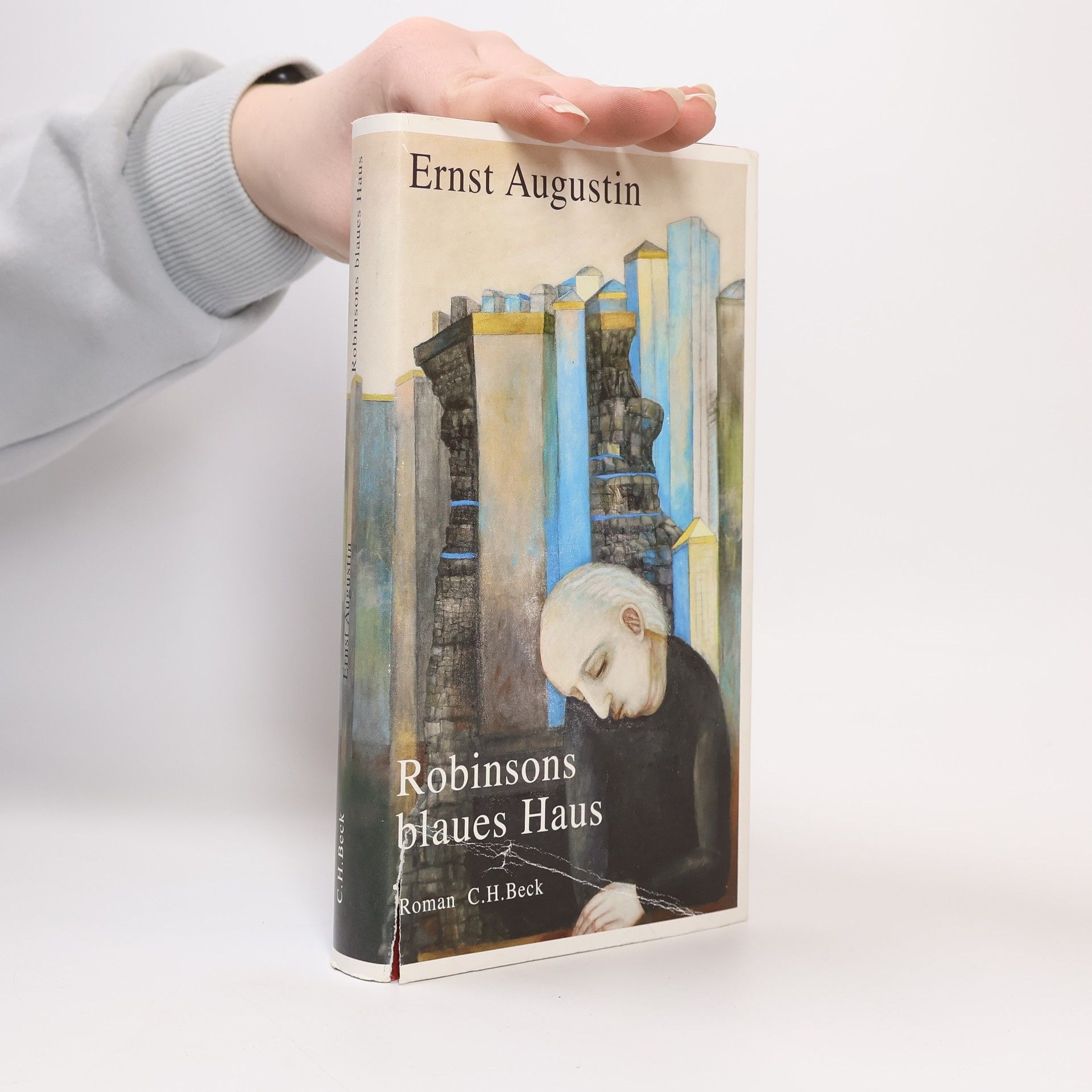 Robinsons blaues Haus