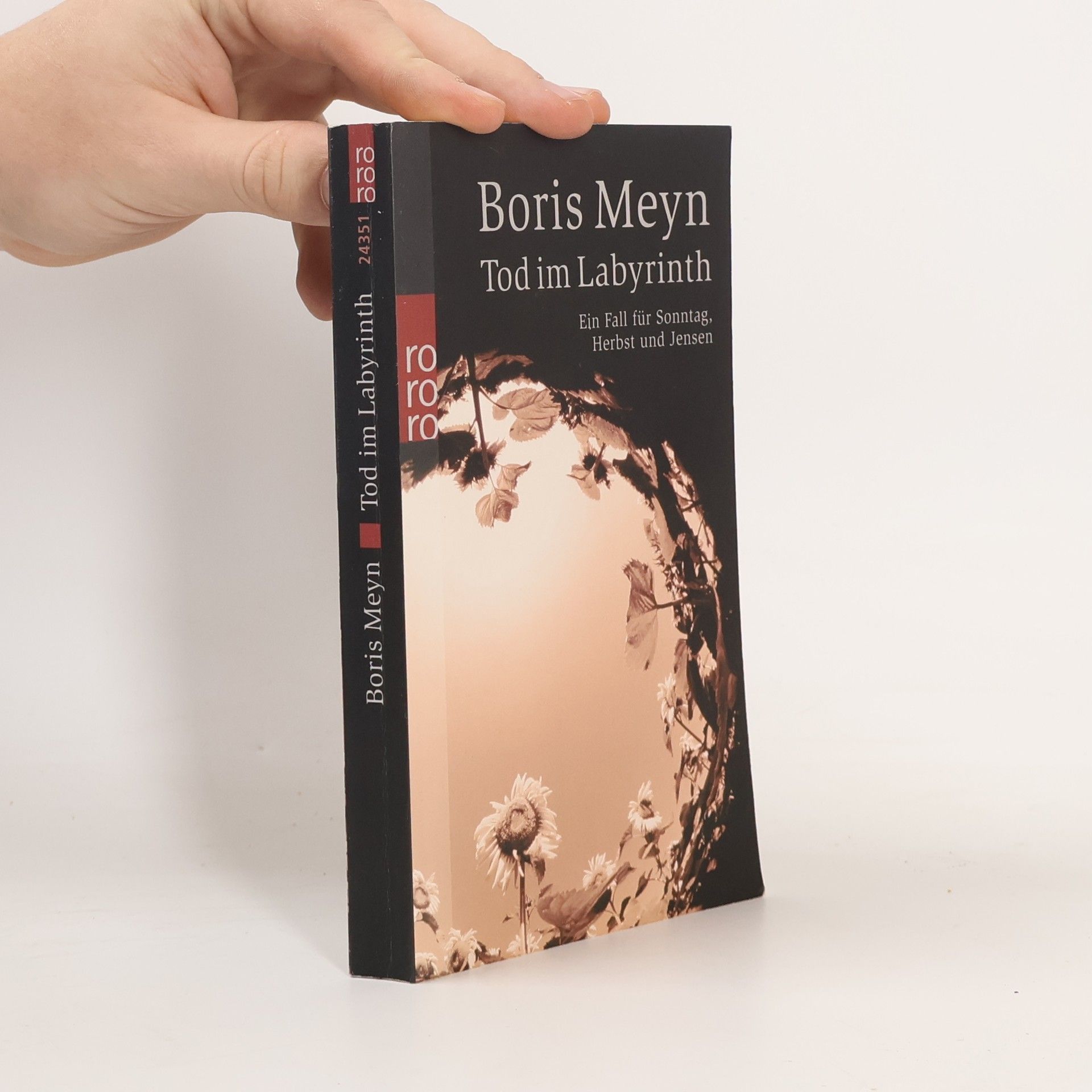 Boris Meyn Tod im Labyrinth
