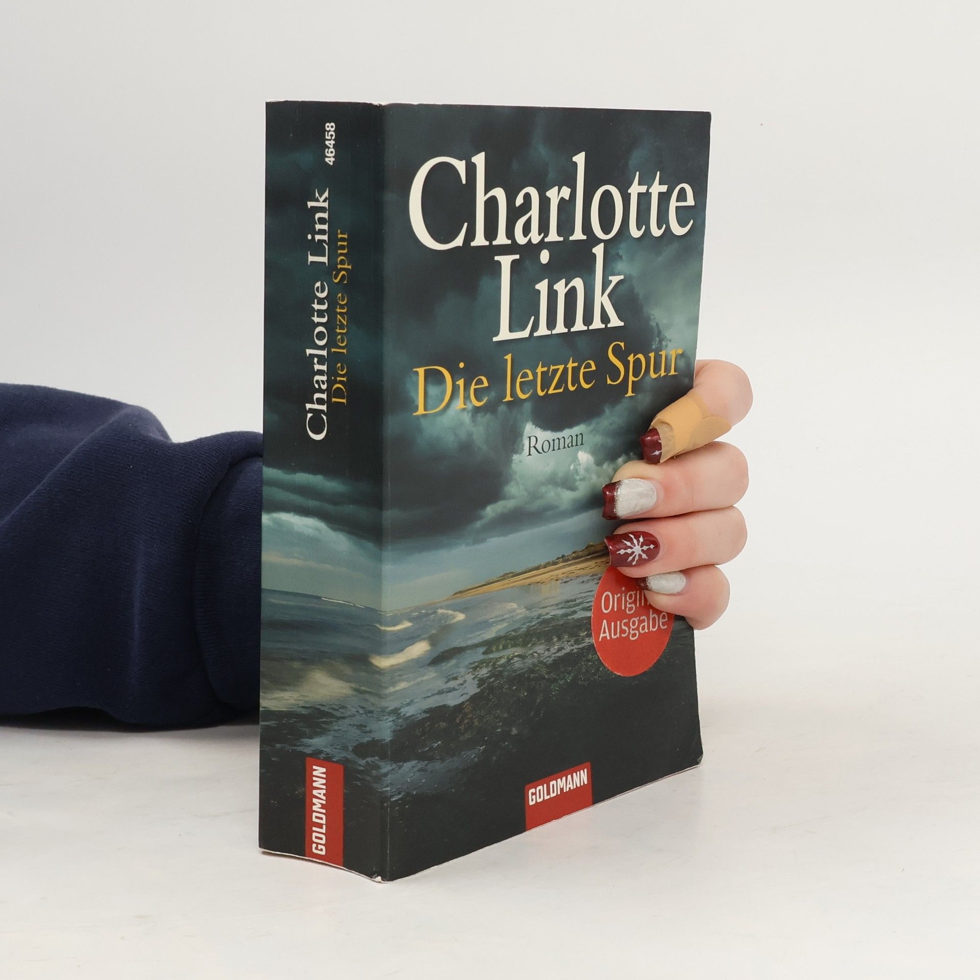 Charlotte Link Die letzte Spur