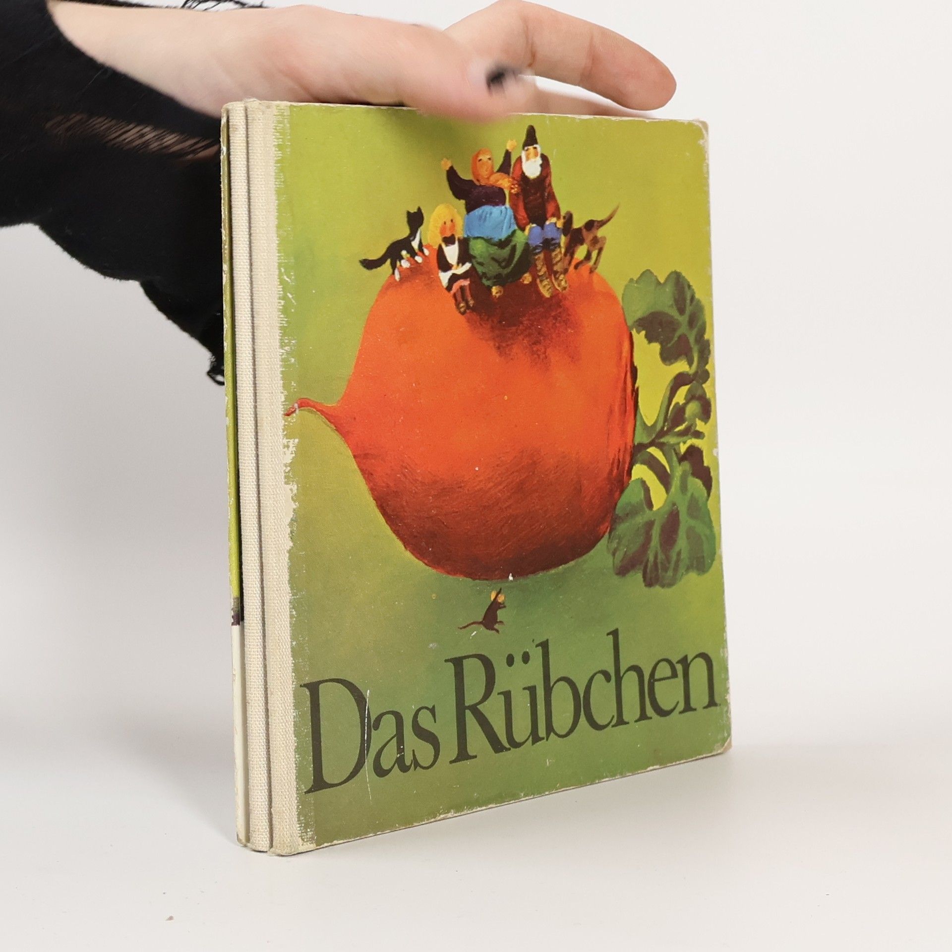 Autorenkollektiv Das Rübchen