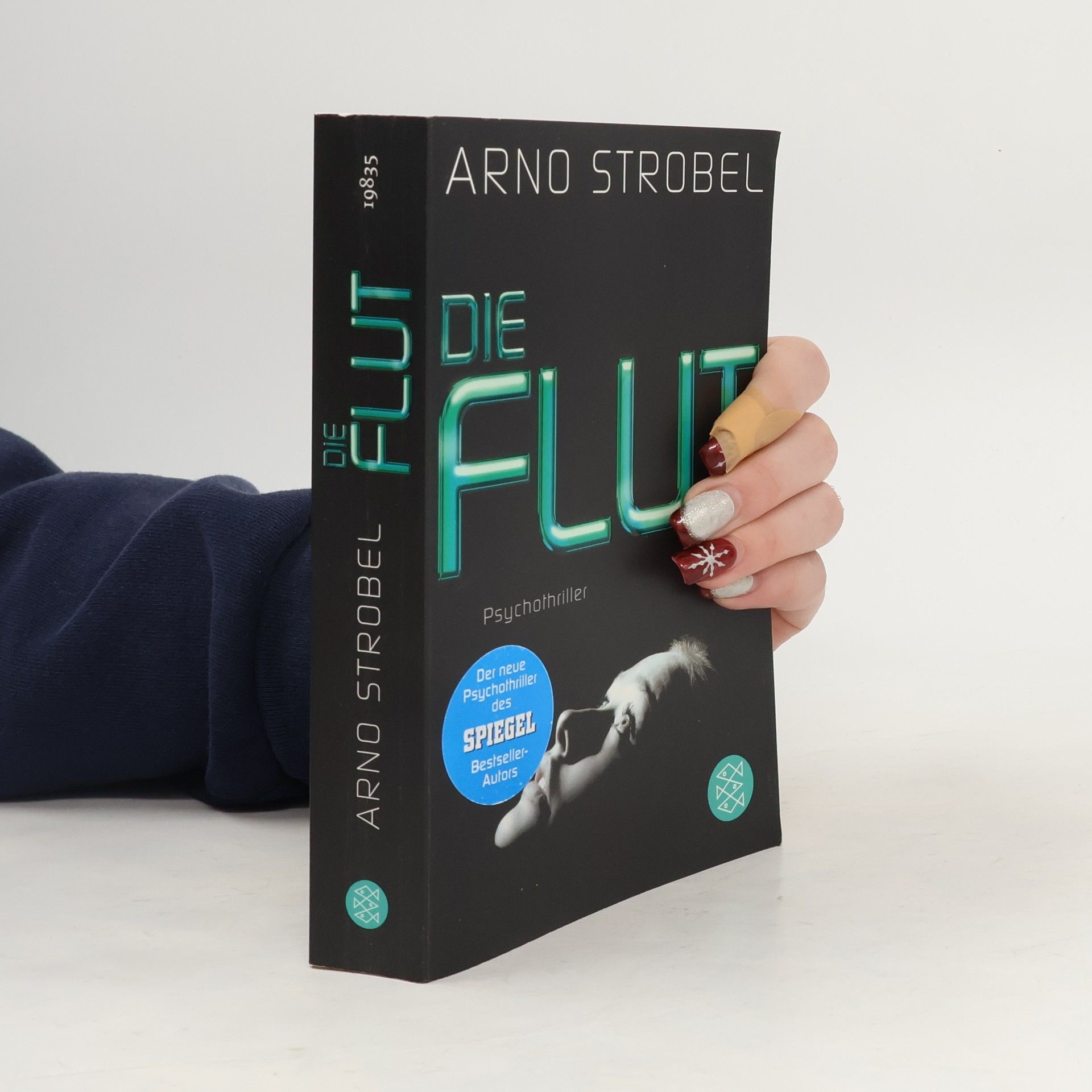 Arno Strobel Die Flut