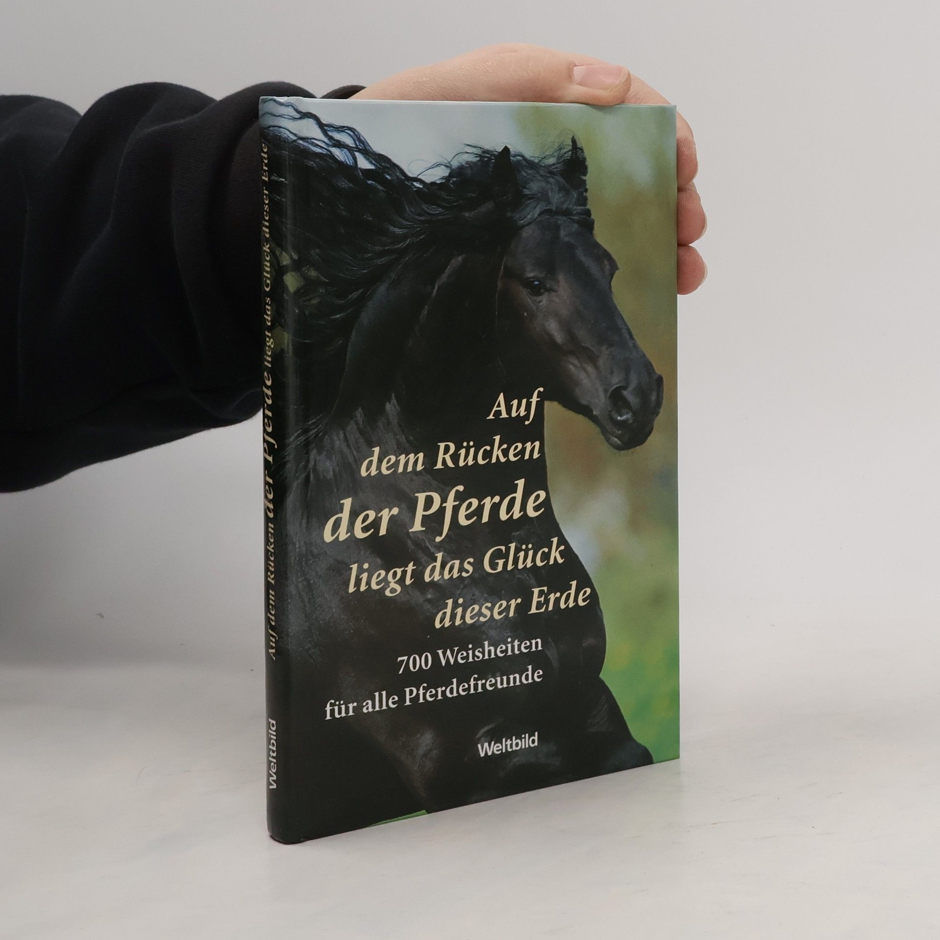 Albrecht Behmel Auf dem Rücken der Pferde liegt das Glück dieser Erde