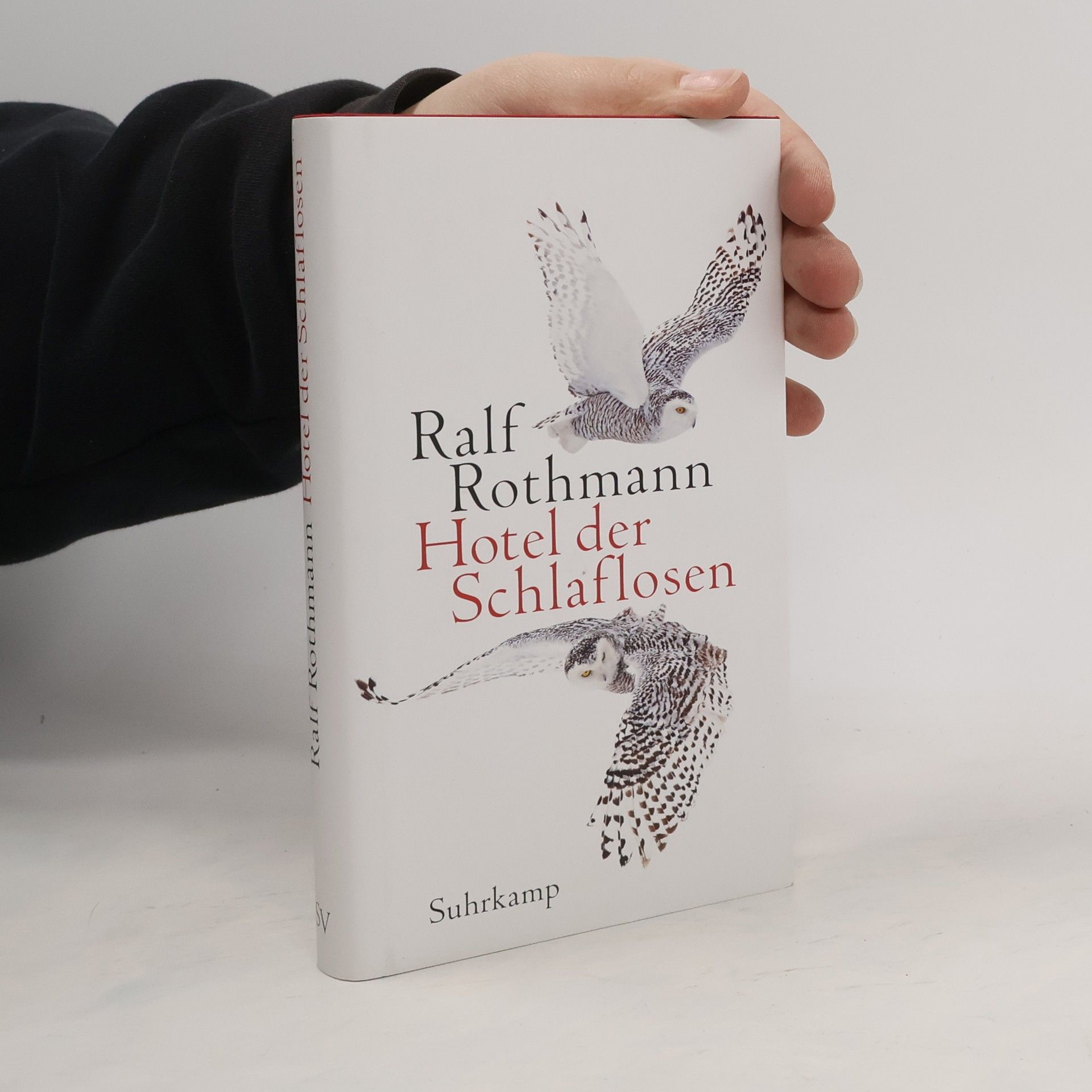 Ralf Rothmann Hotel der Schlaflosen