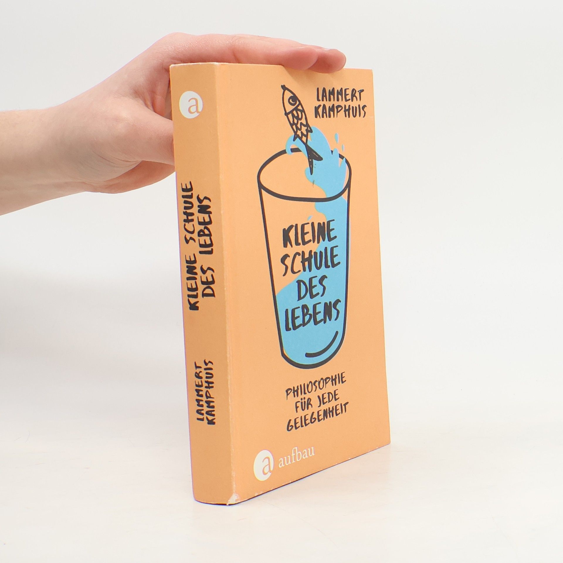 Lammert Kamphuis Kleine Schule des Lebens