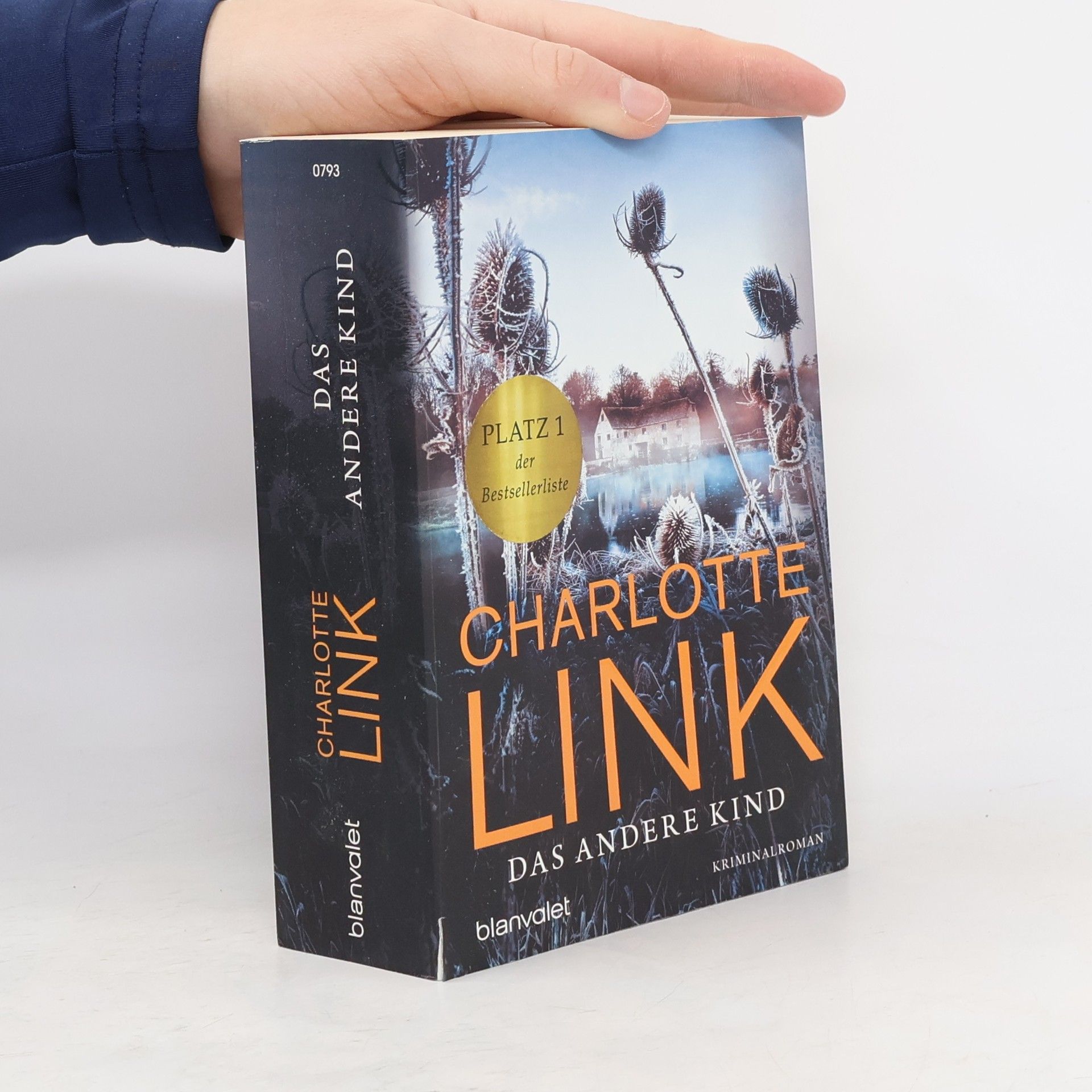 Charlotte Link Das andere Kind