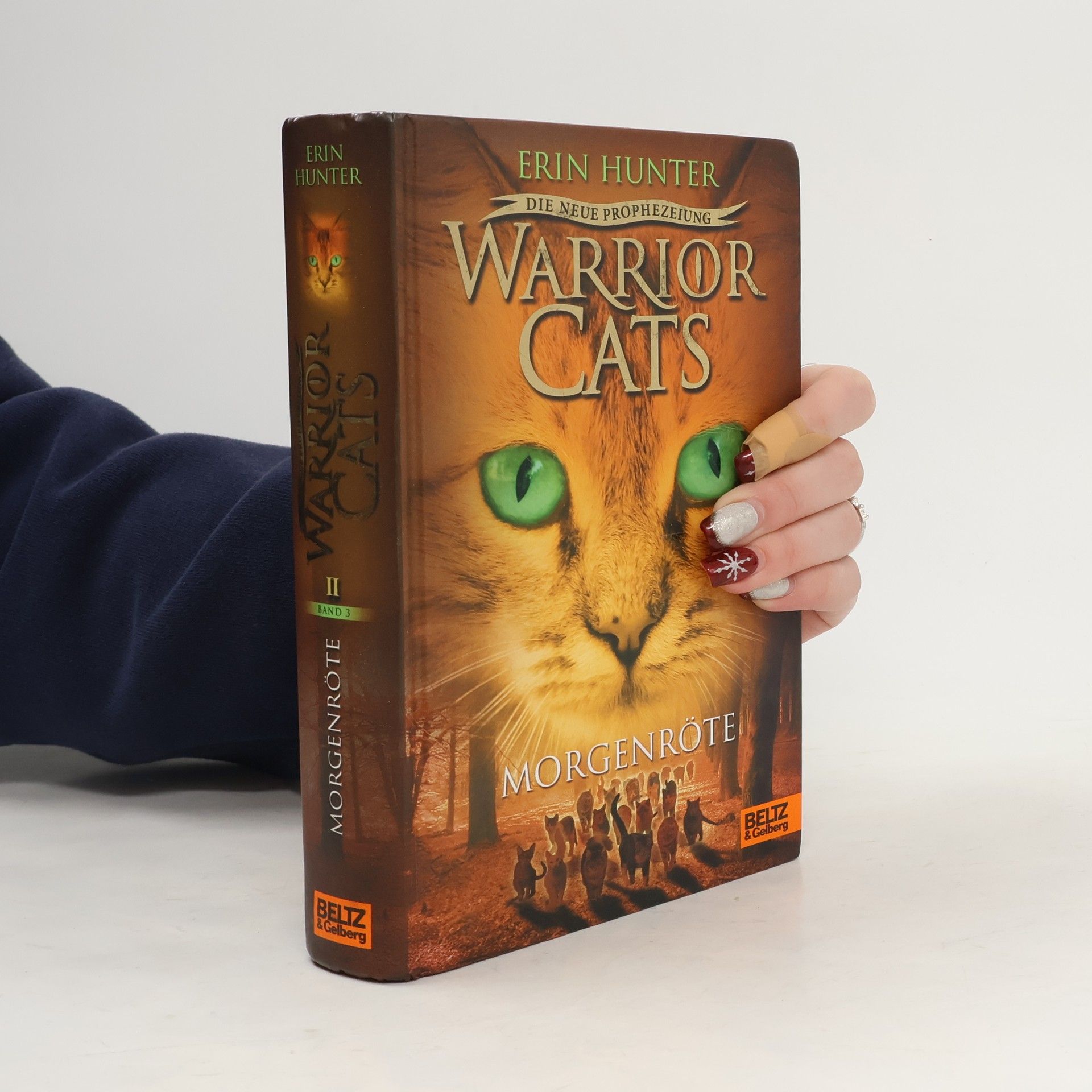 Erin Hunter Warrior Cats - Morgenröte