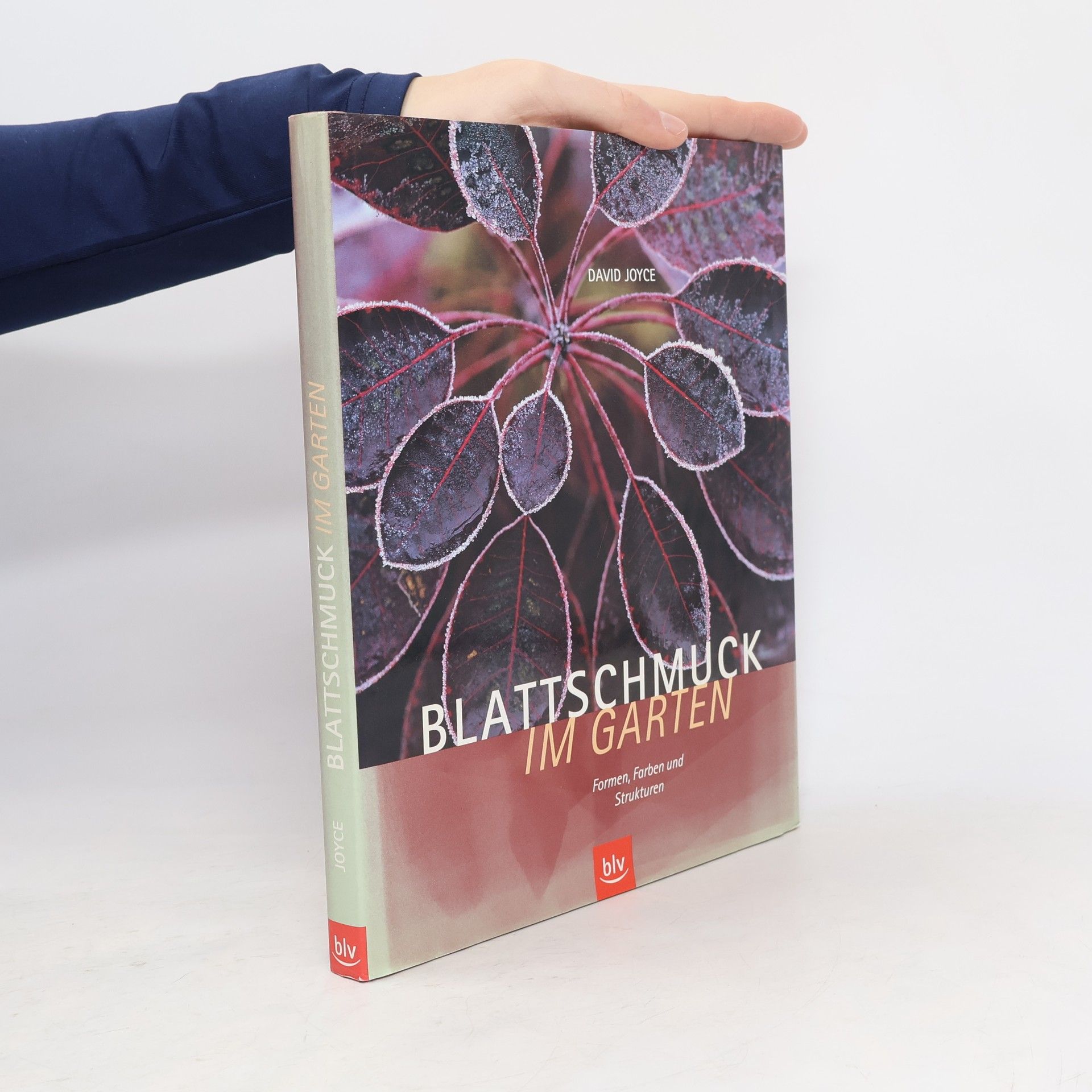 Blattschmuck im Garten