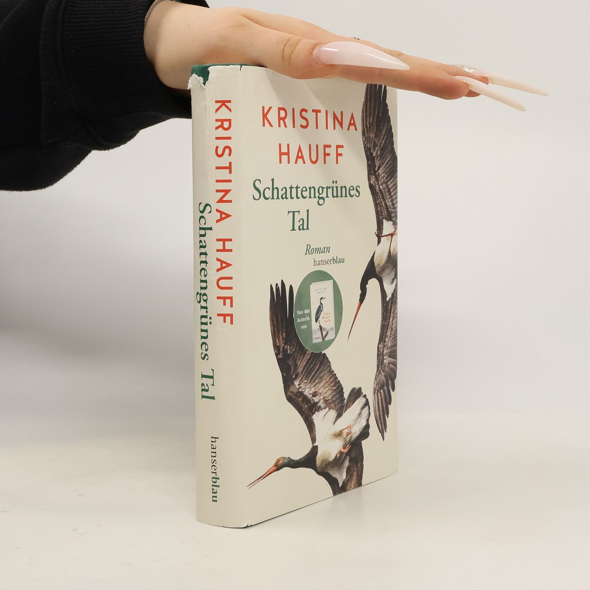 Kristina Hauff Schattengrünes Tal