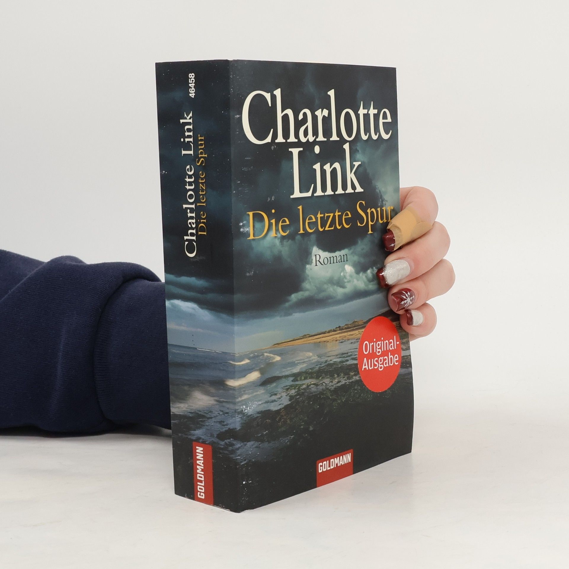 Charlotte Link Die letzte Spur
