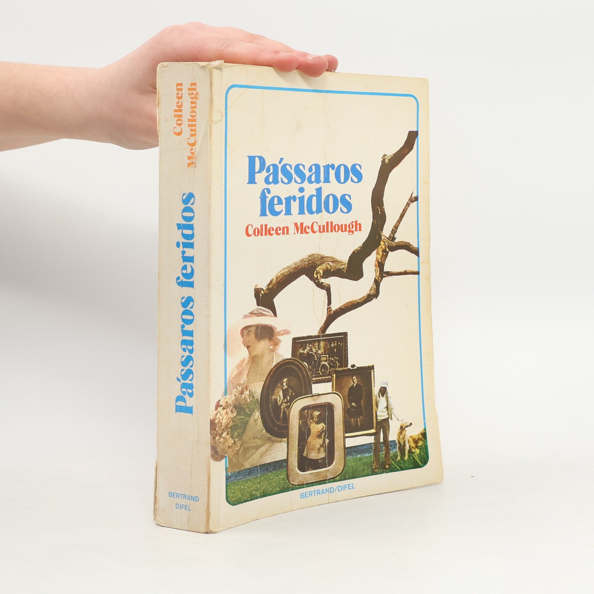Colleen McCullough Pássaros feridos