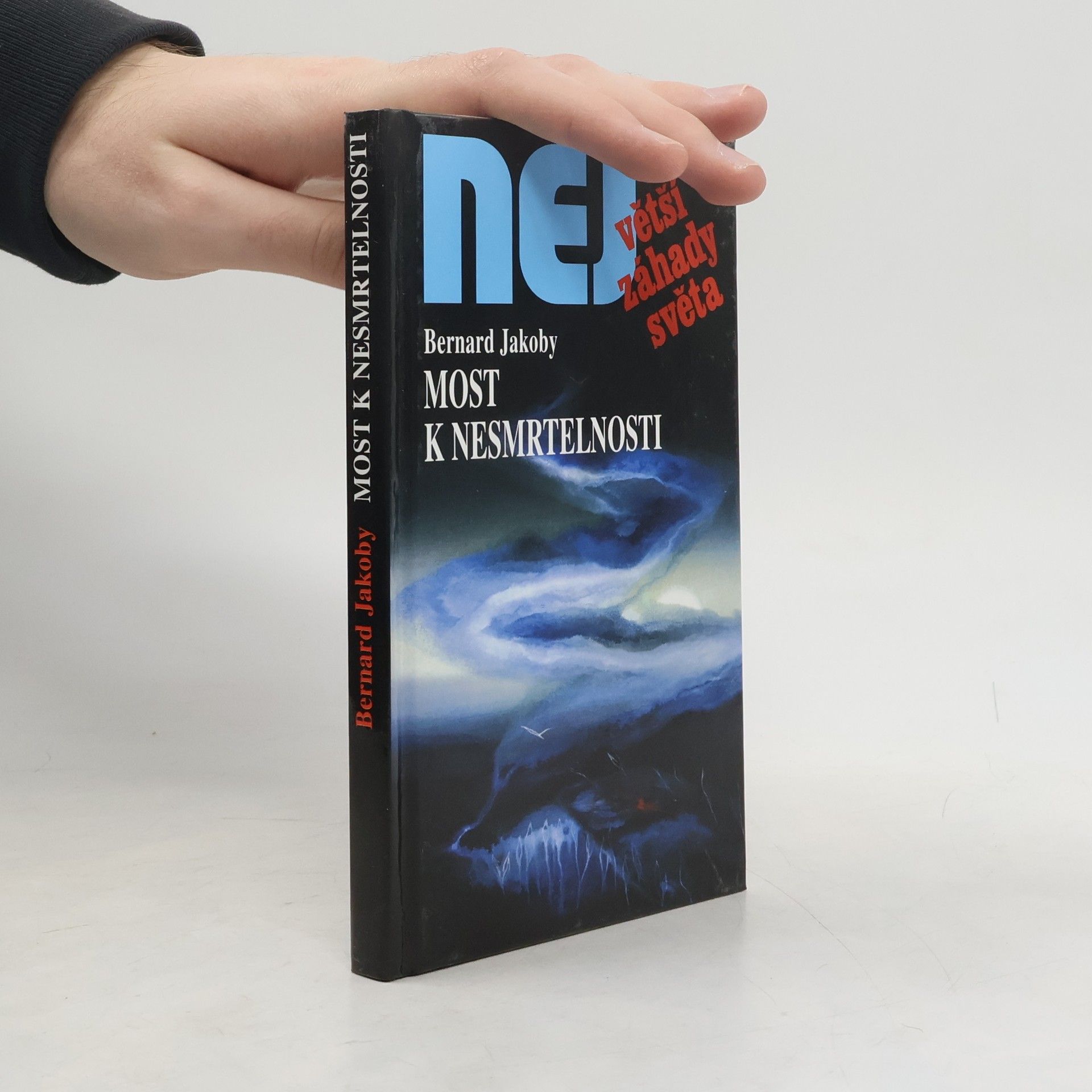 Most k nesmrtelnosti: Zkušenosti z blízkosti smrti jako naděje