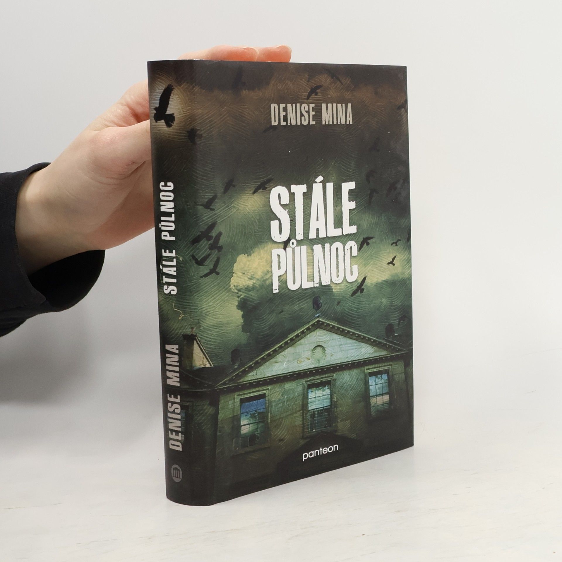 Denise Mina Stále půlnoc