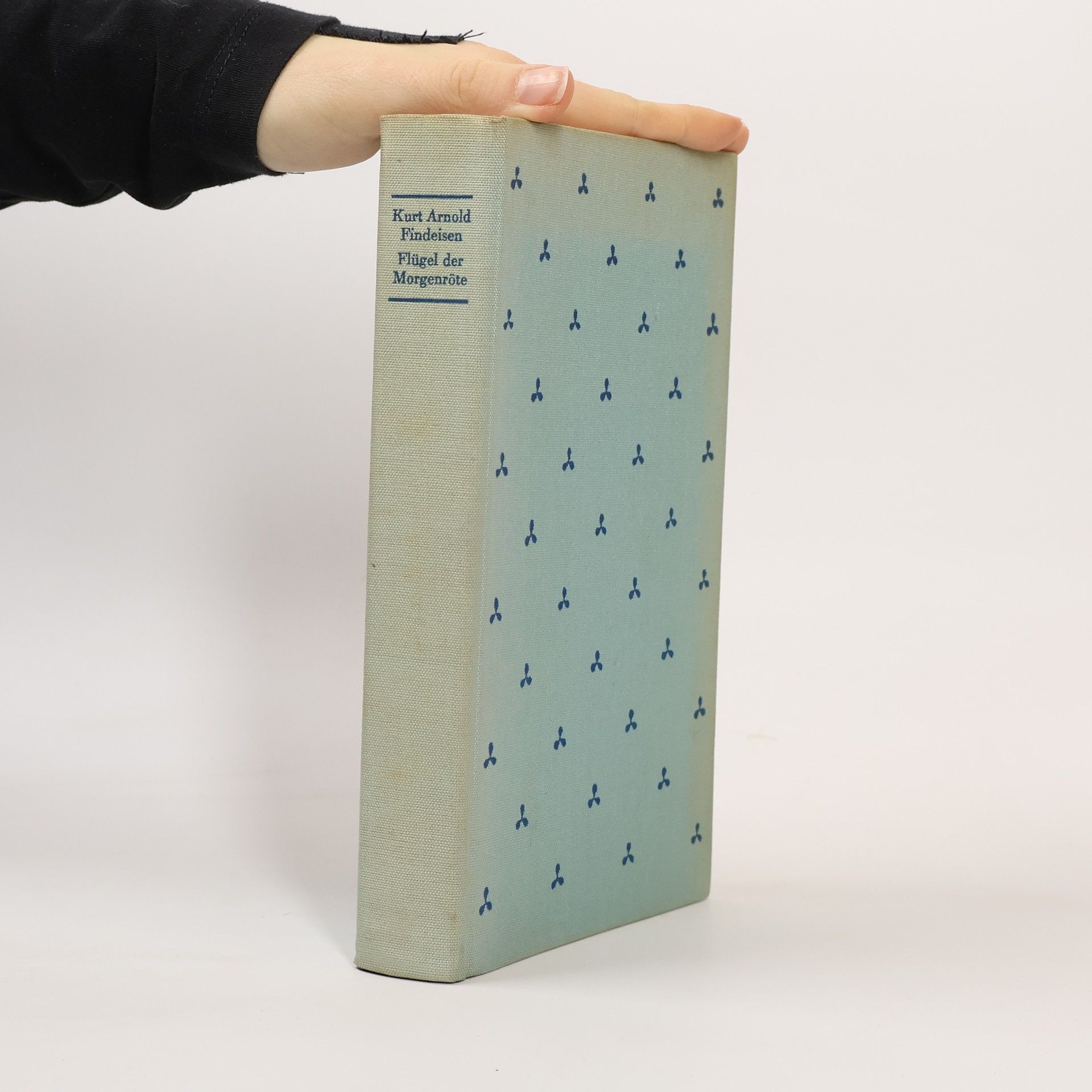 Flügel der Morgenröte