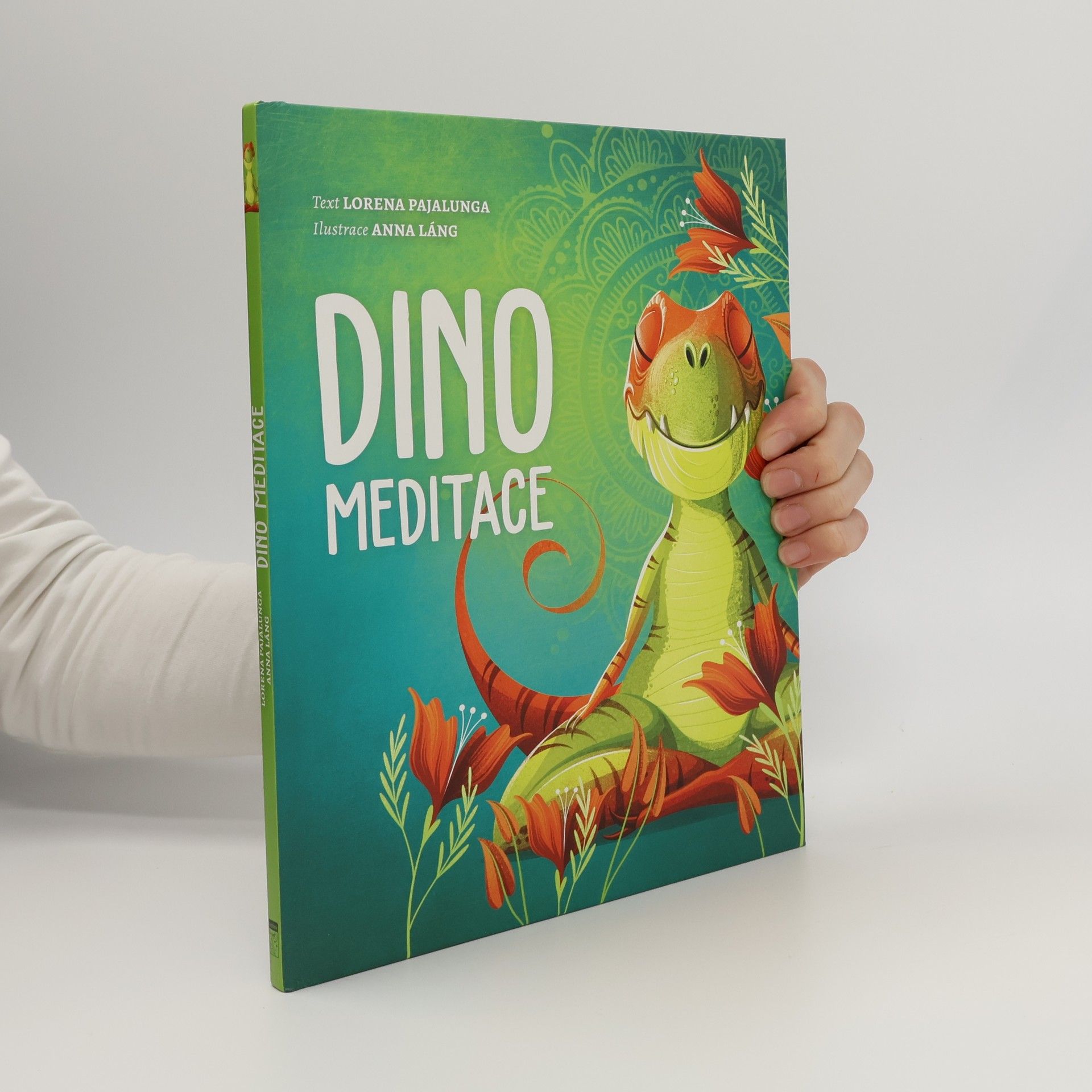 Dino meditace
