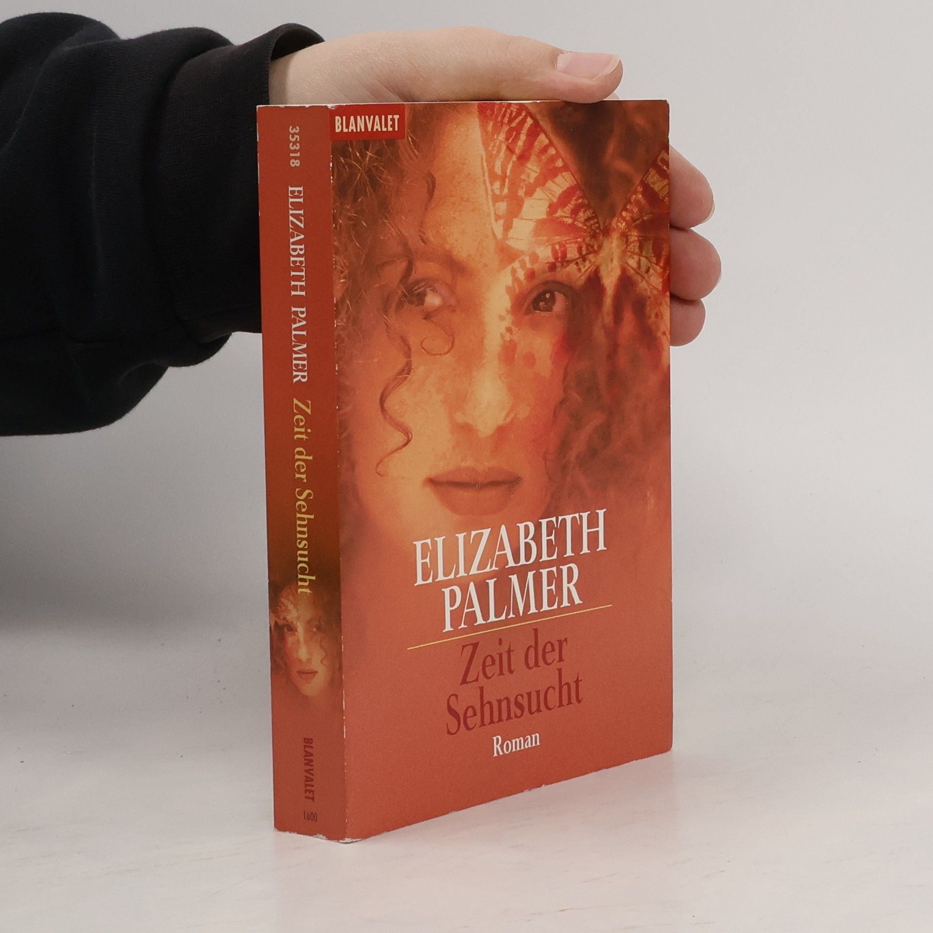 Elizabeth Palmer Zeit der Sehnsucht