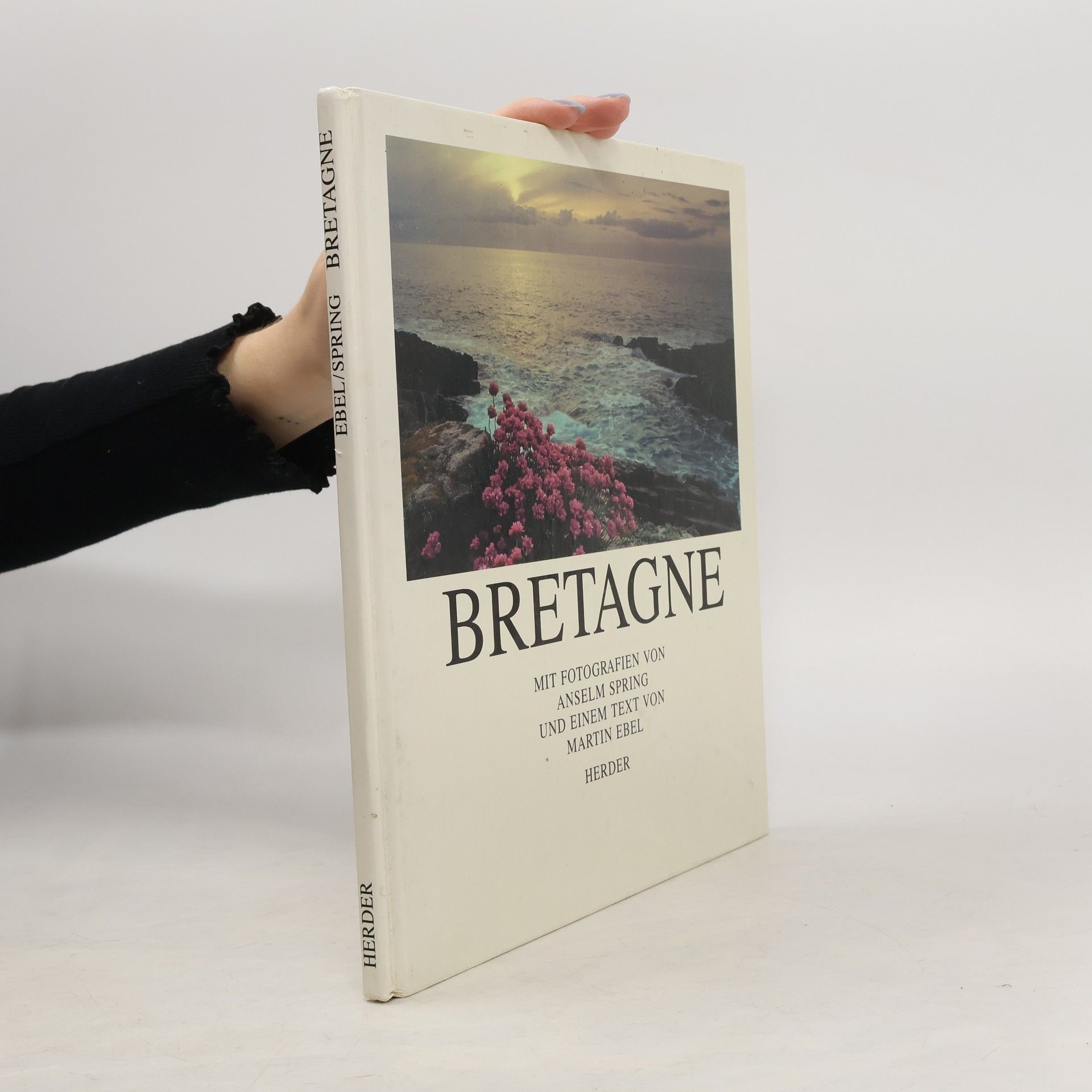 Anselm Spring Bretagne