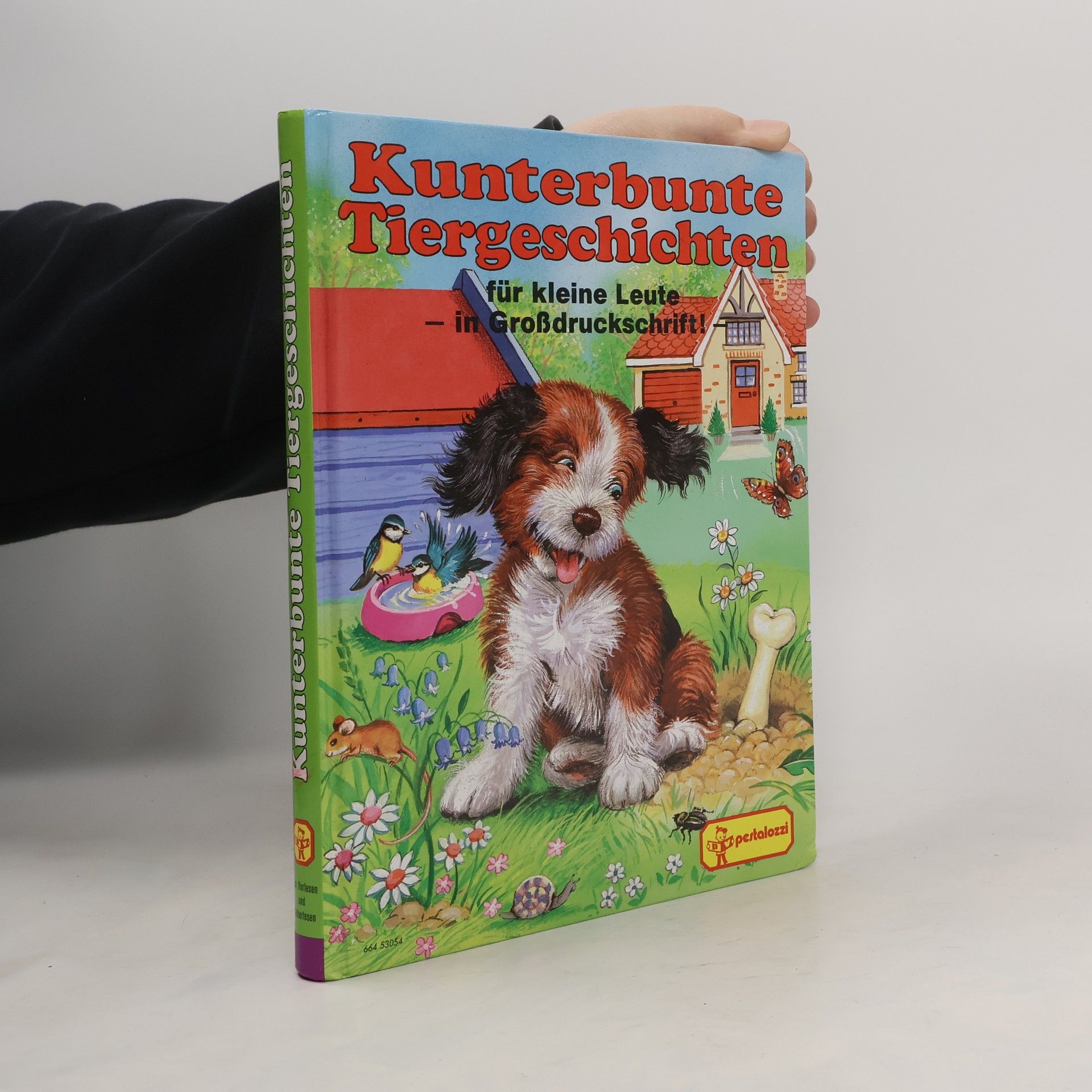 Autorenkollektiv Kunterbunte Tiergeschichten für kleine Leute - in Grossdruckschrift!