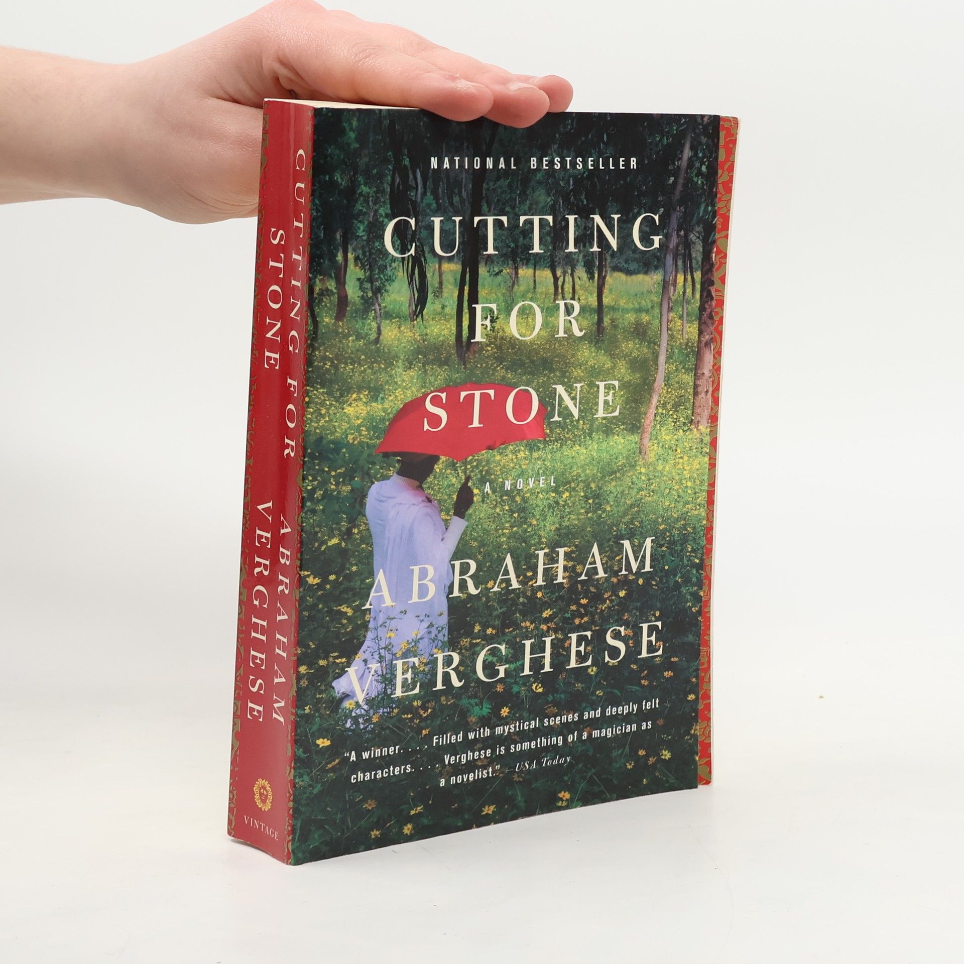 A. Abraham Verghese Cutting for Stone