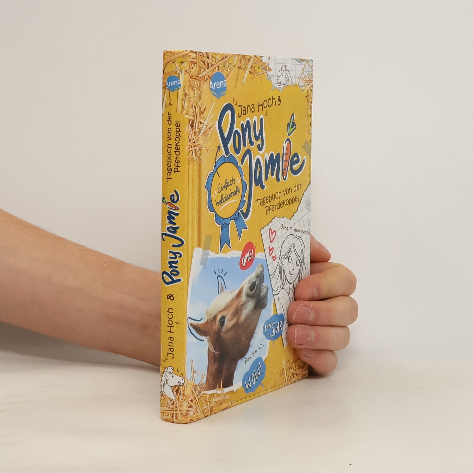 Jana Hoch Pony Jamie - Einfach heldenhaft! (1). Tagebuch von der Pferdekoppel