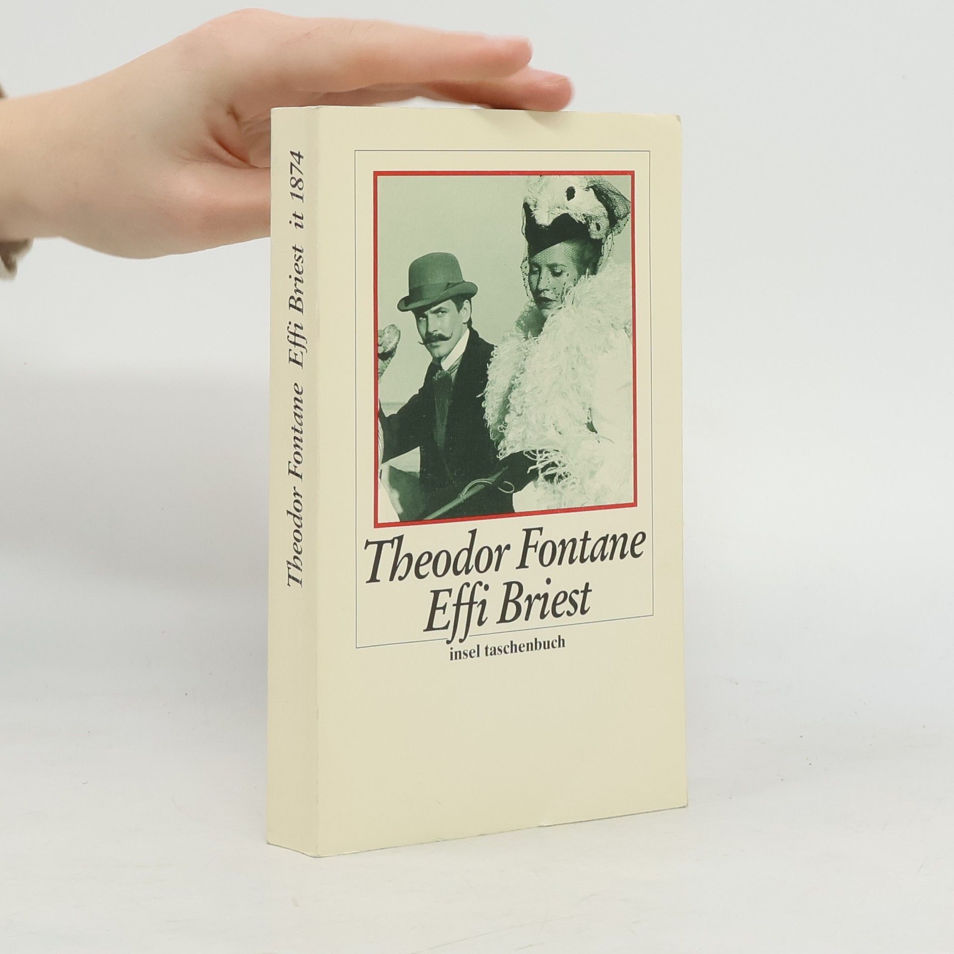 Drei Romane (Frauen) - Effi Briest / Madame Bovary / Anna Karenina