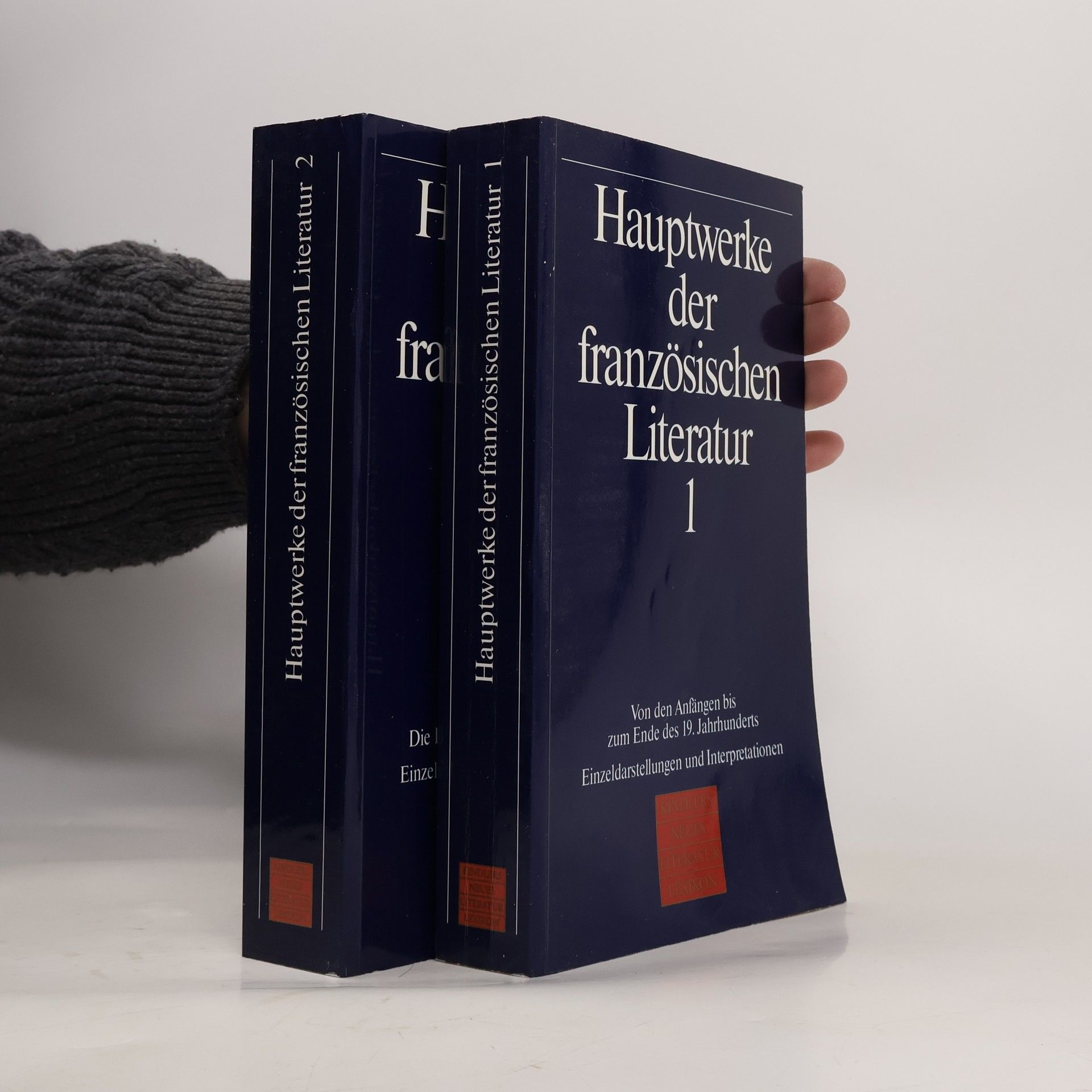 AA.VV. Hauptwerke der französischen Literatur