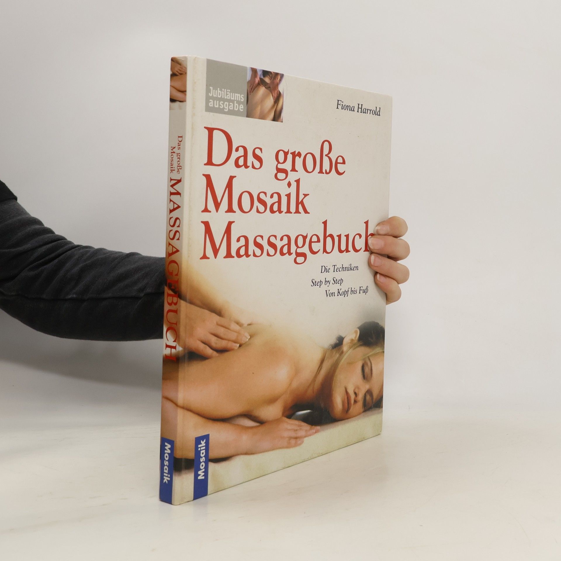 Das grosse Mosaik-Massagebuch