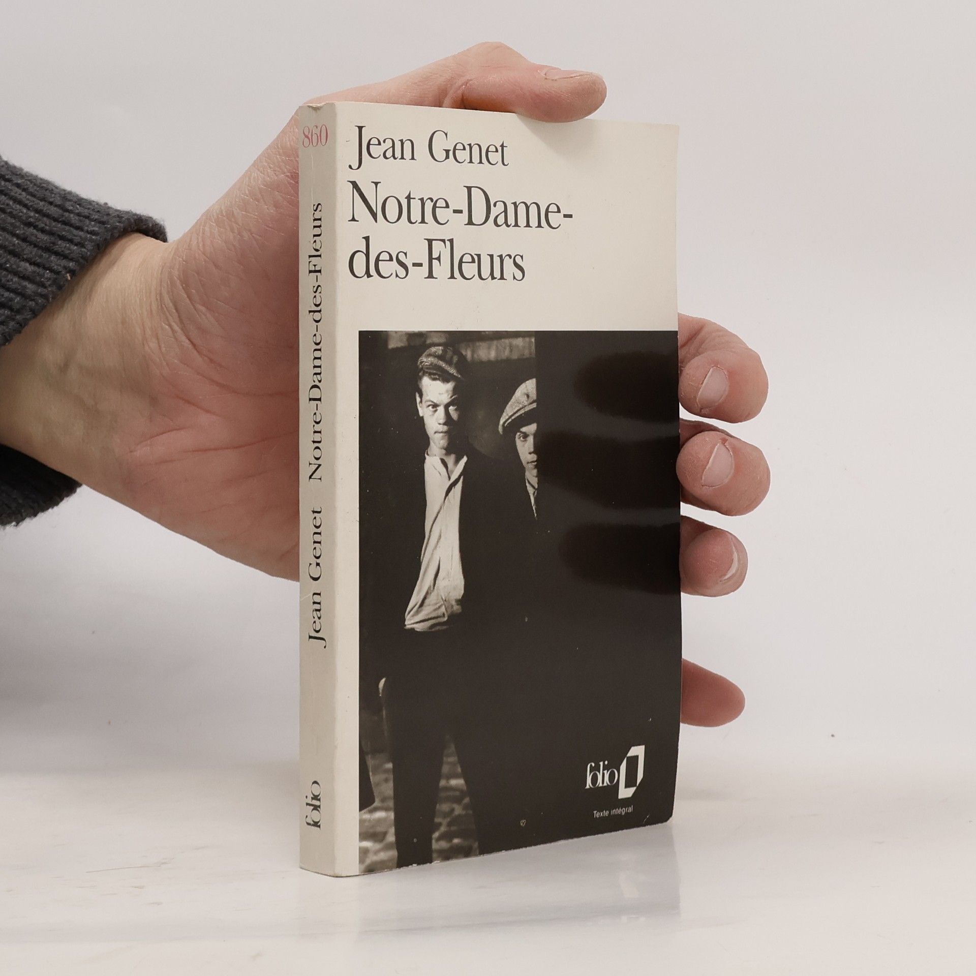 Jean Genet Notre-Dame-des-Fleurs